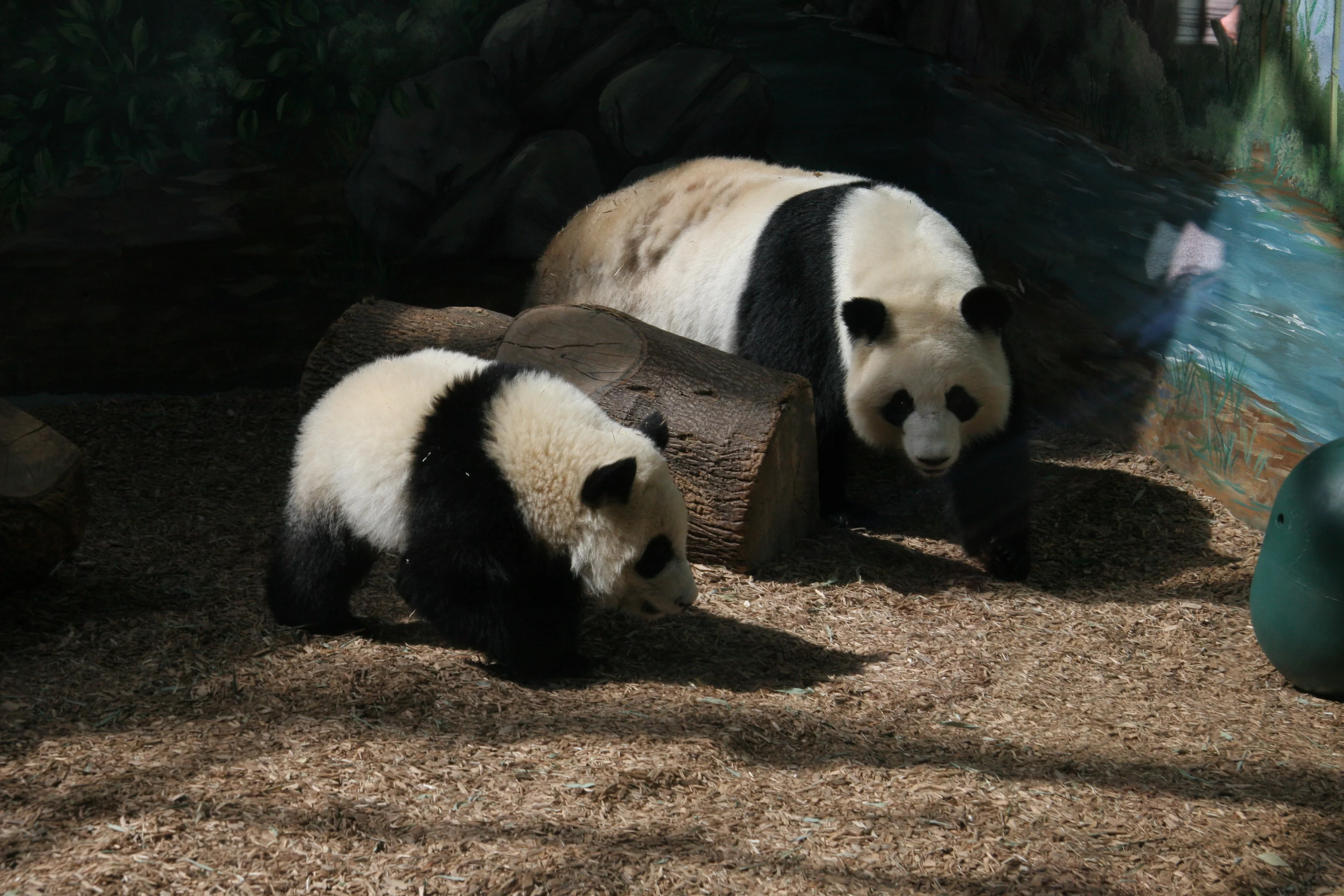 Zoo Atlanta
