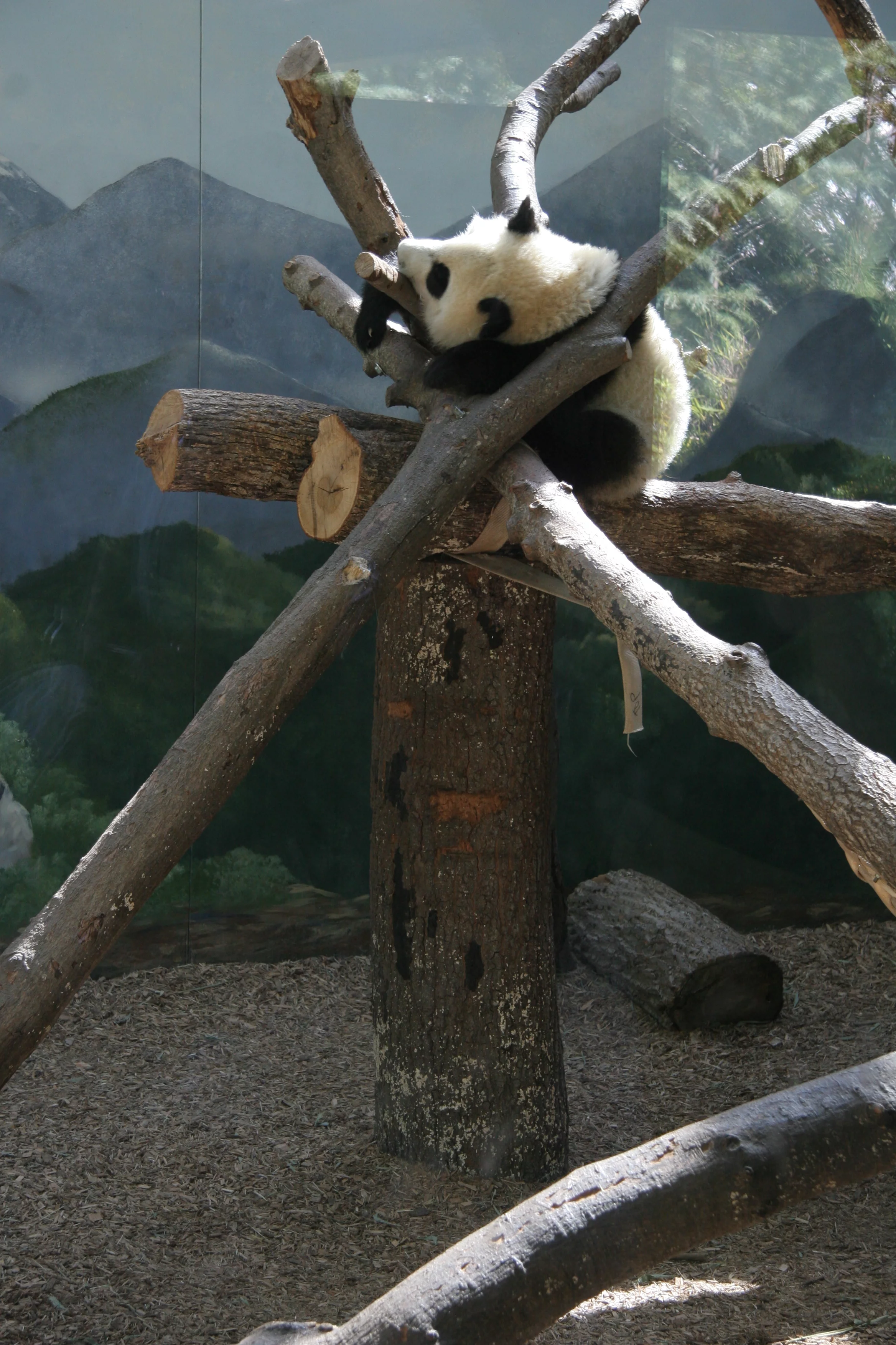 Zoo Atlanta