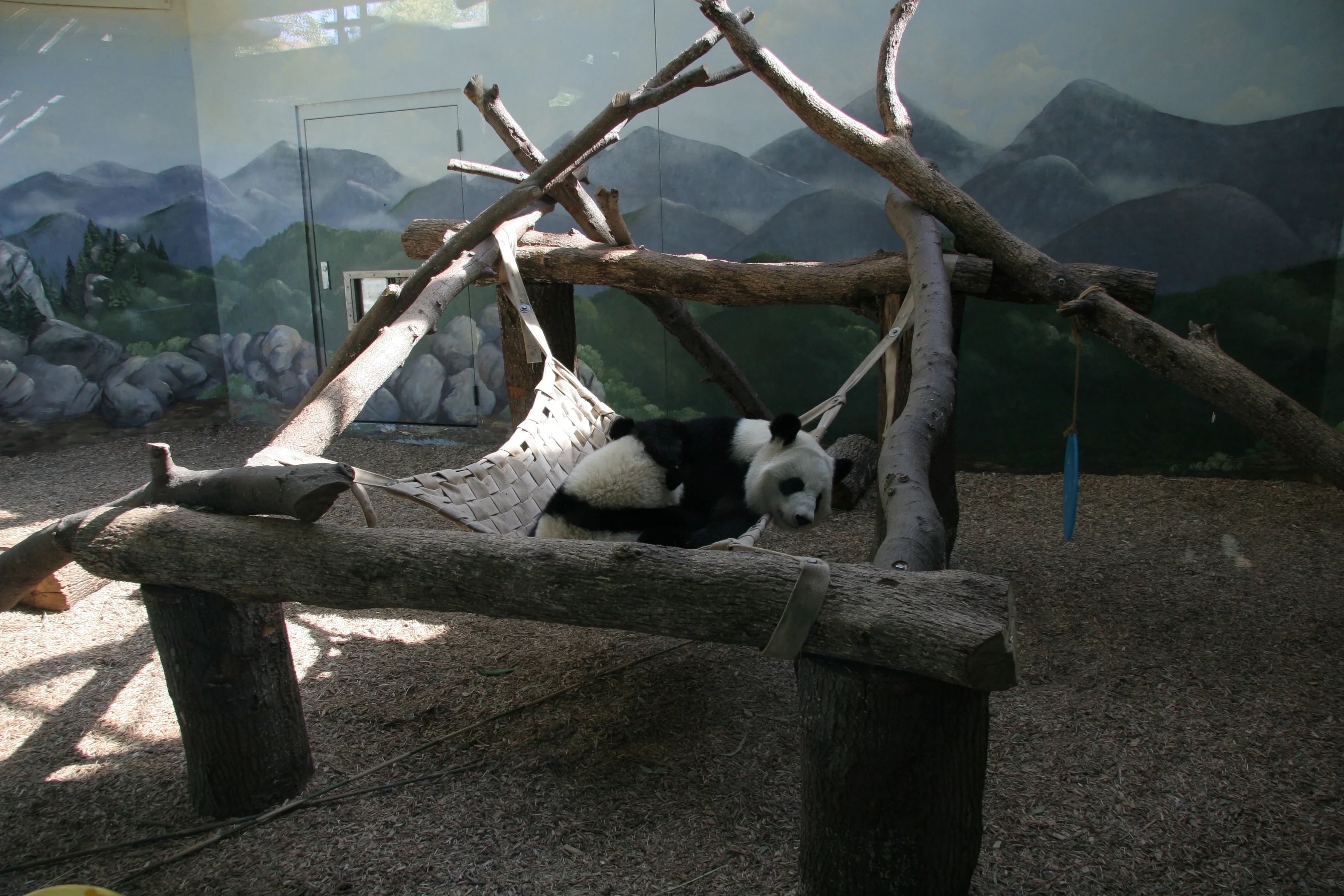 Zoo Atlanta