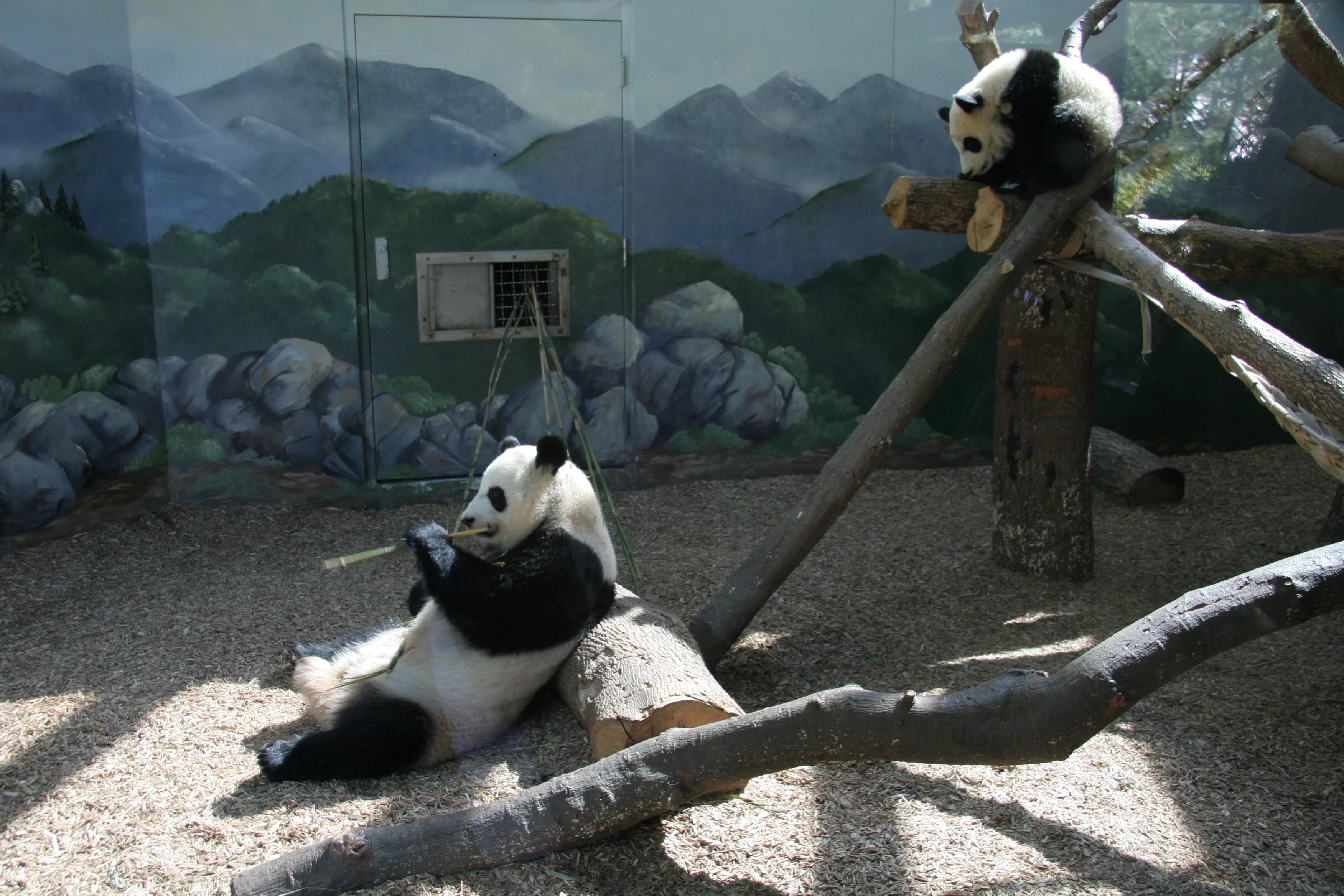 Zoo Atlanta