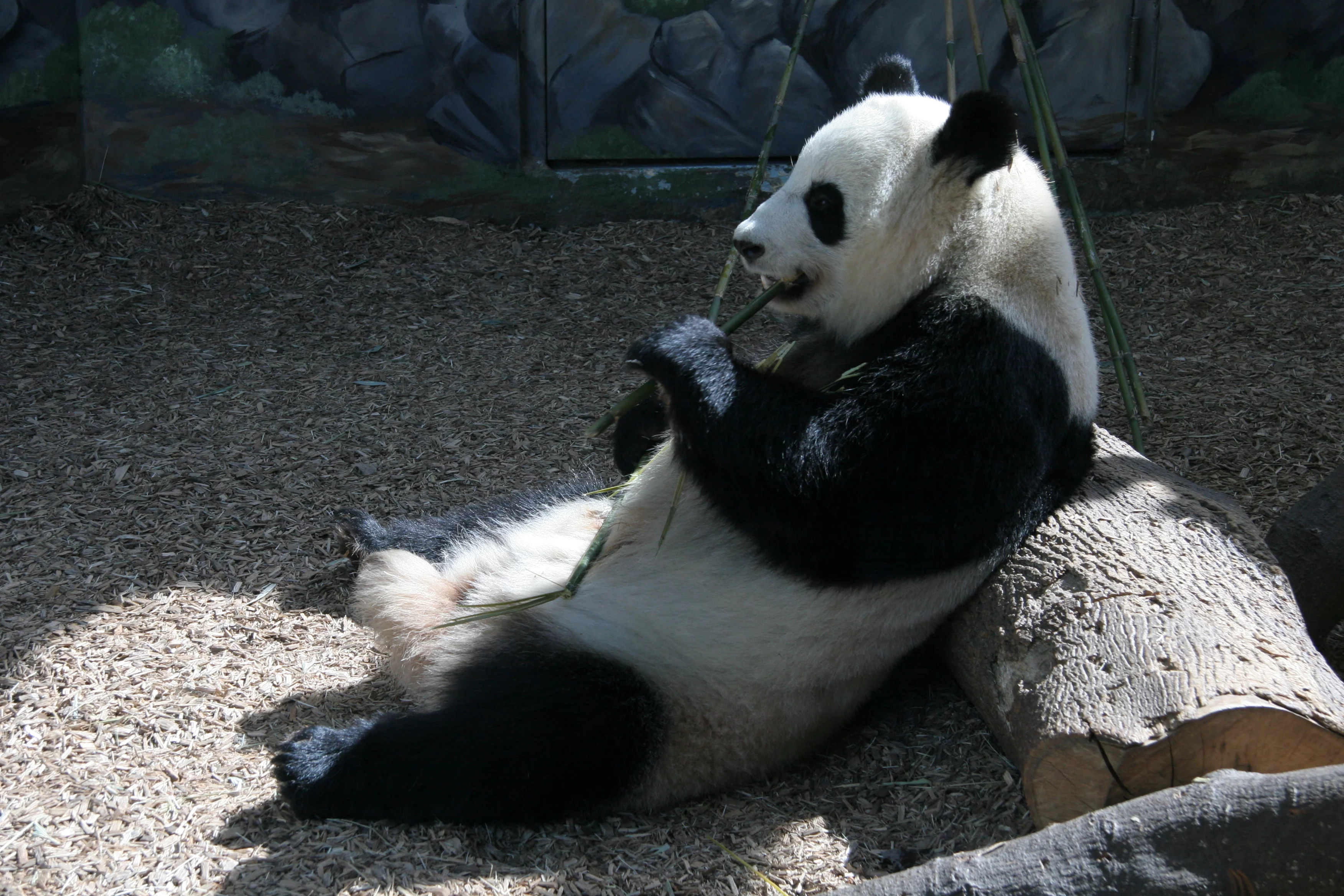 Zoo Atlanta