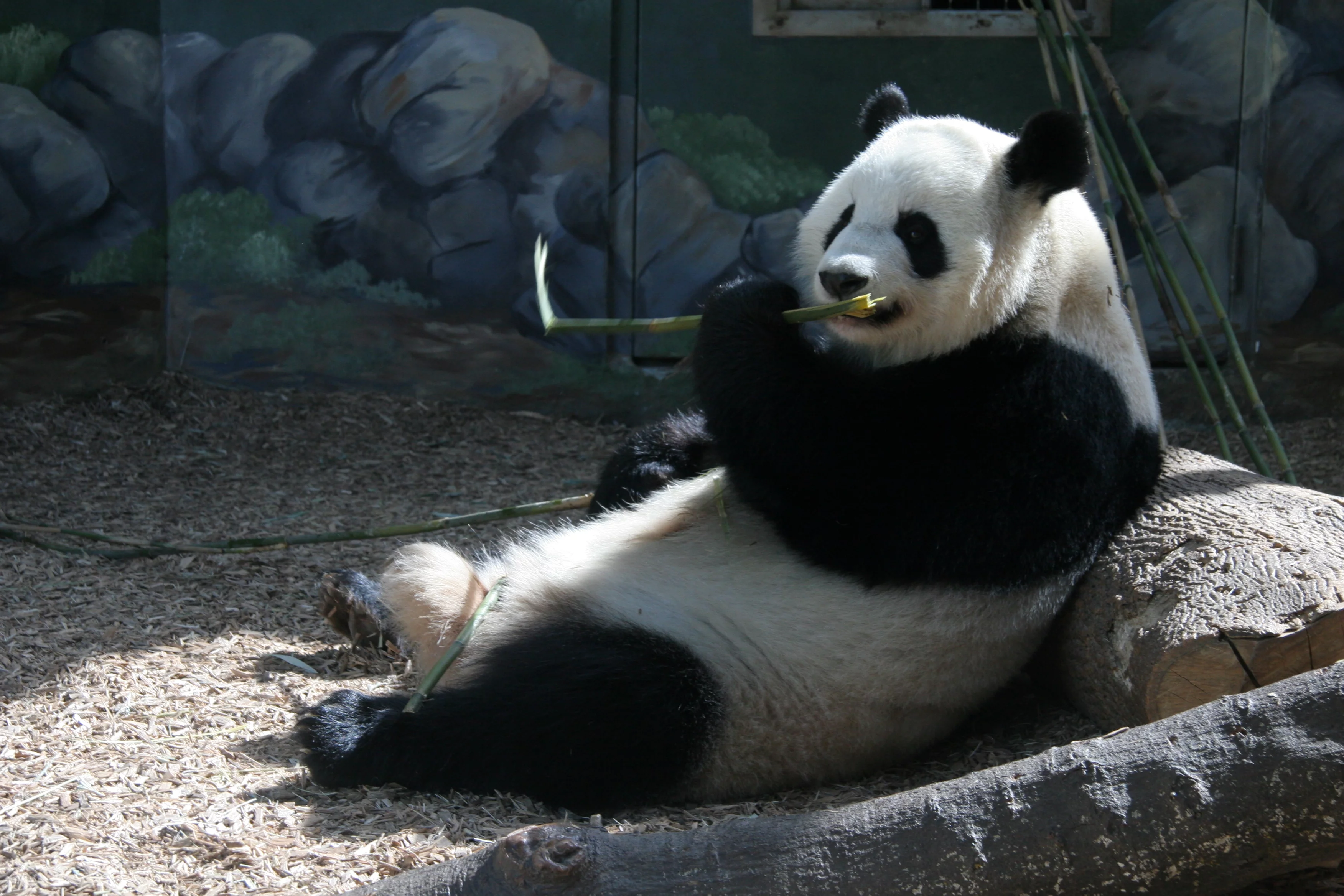 Zoo Atlanta