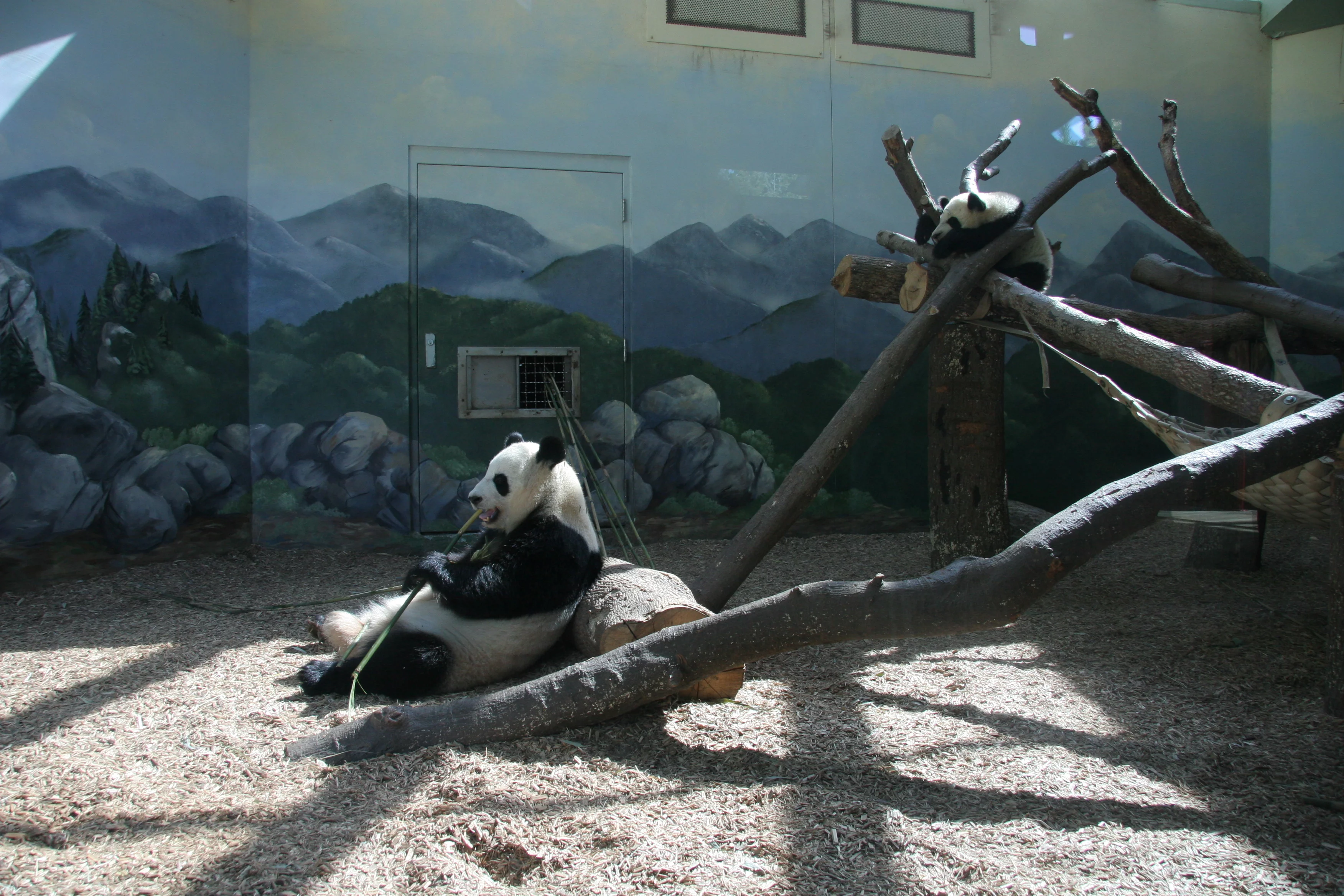 Zoo Atlanta