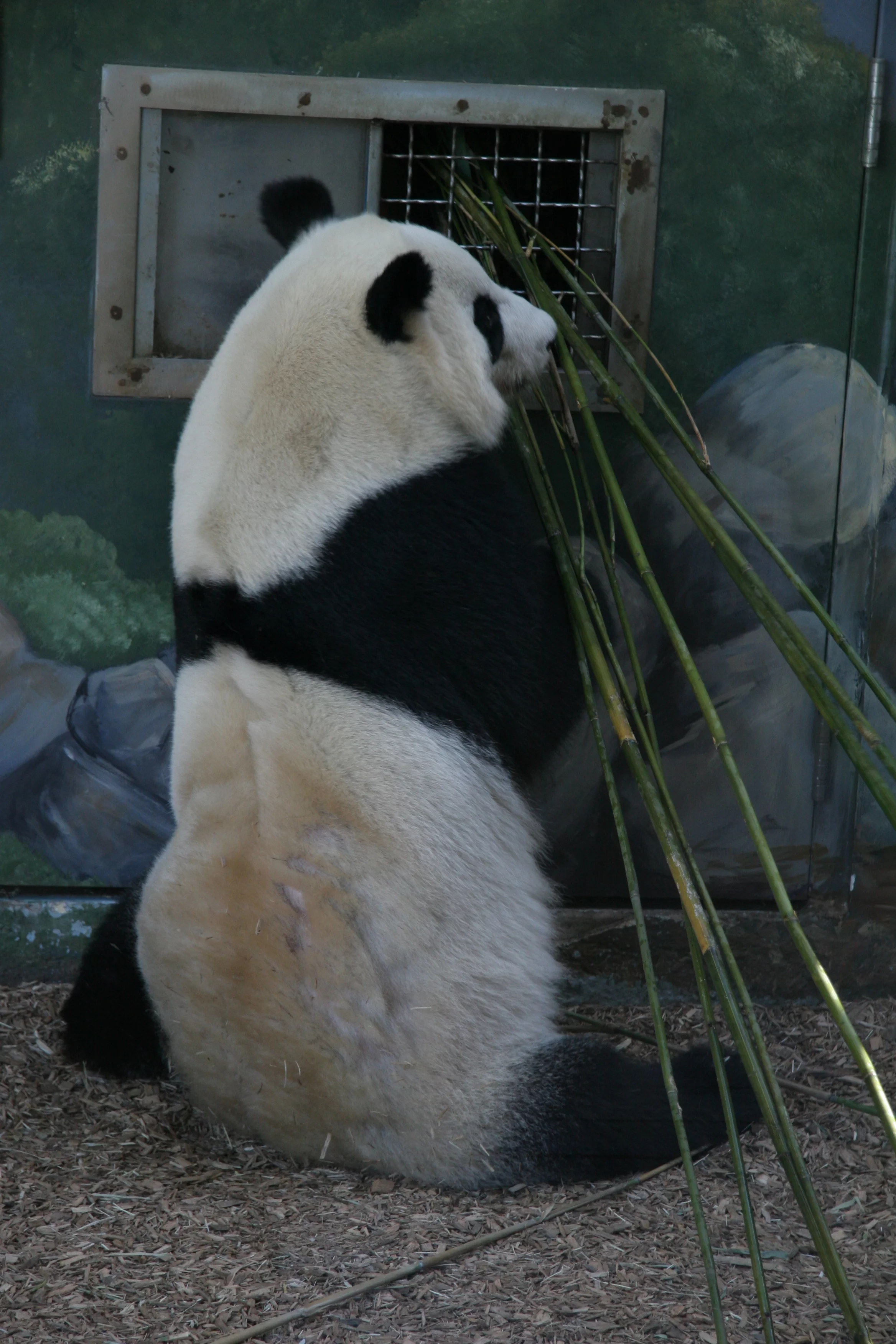 Zoo Atlanta