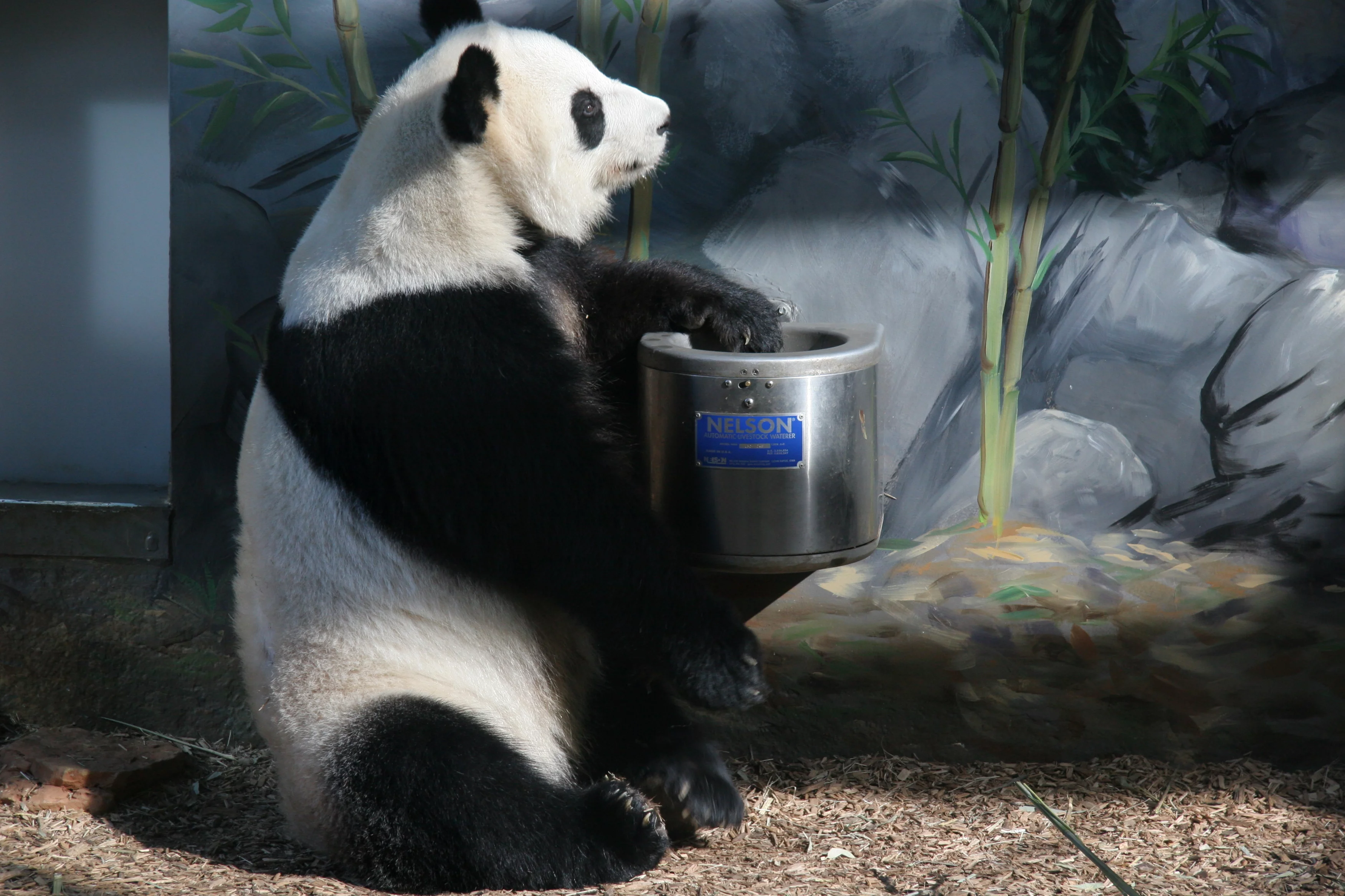 Zoo Atlanta