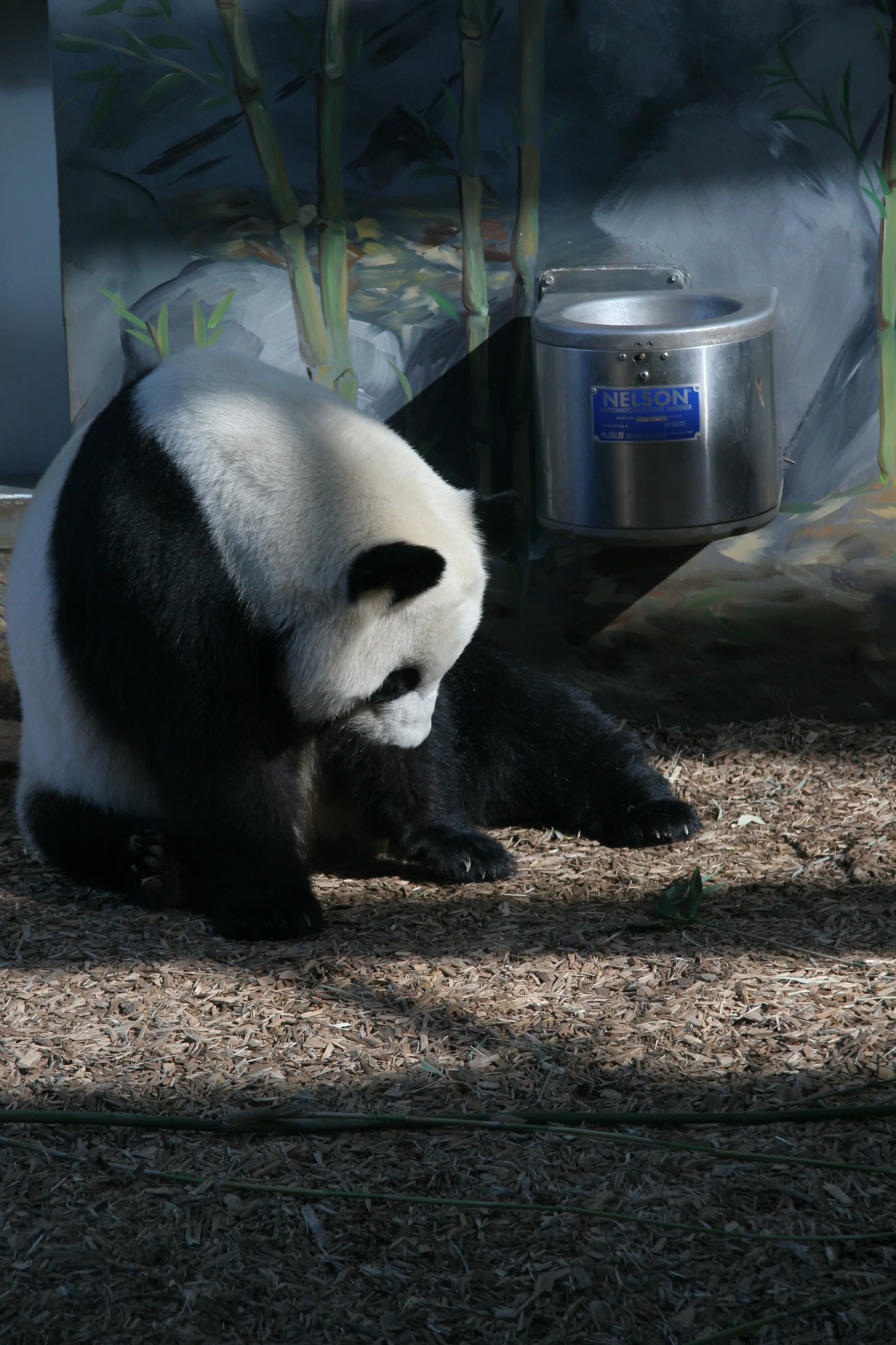 Zoo Atlanta