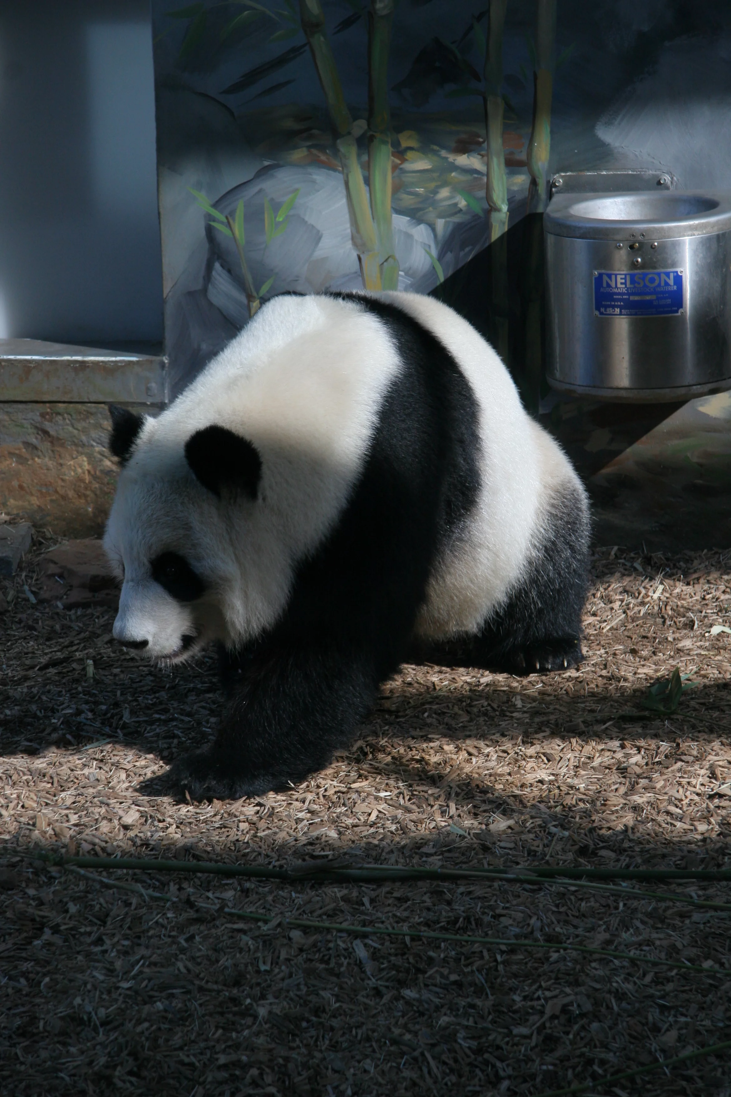 Zoo Atlanta