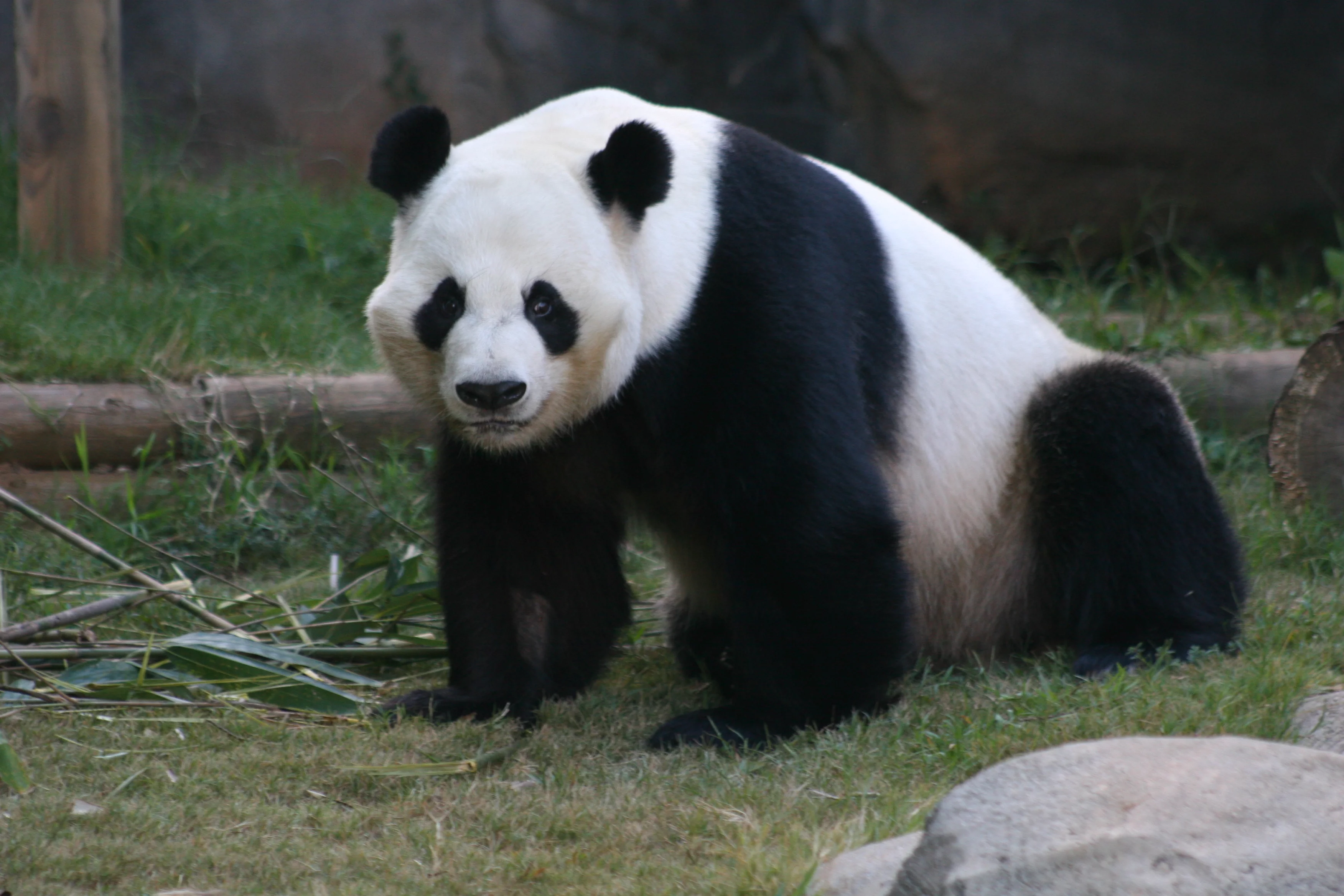 Zoo Atlanta
