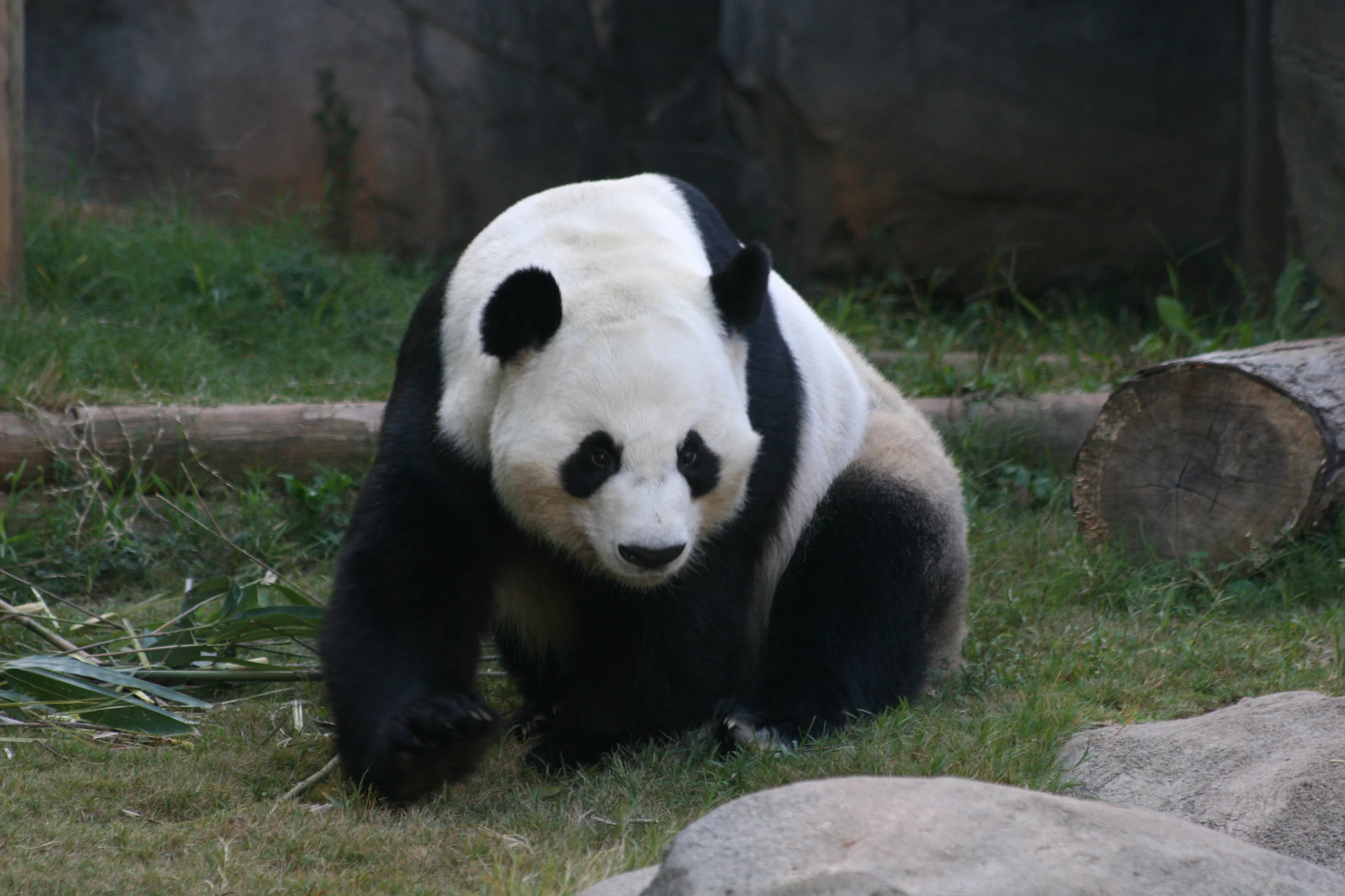 Zoo Atlanta