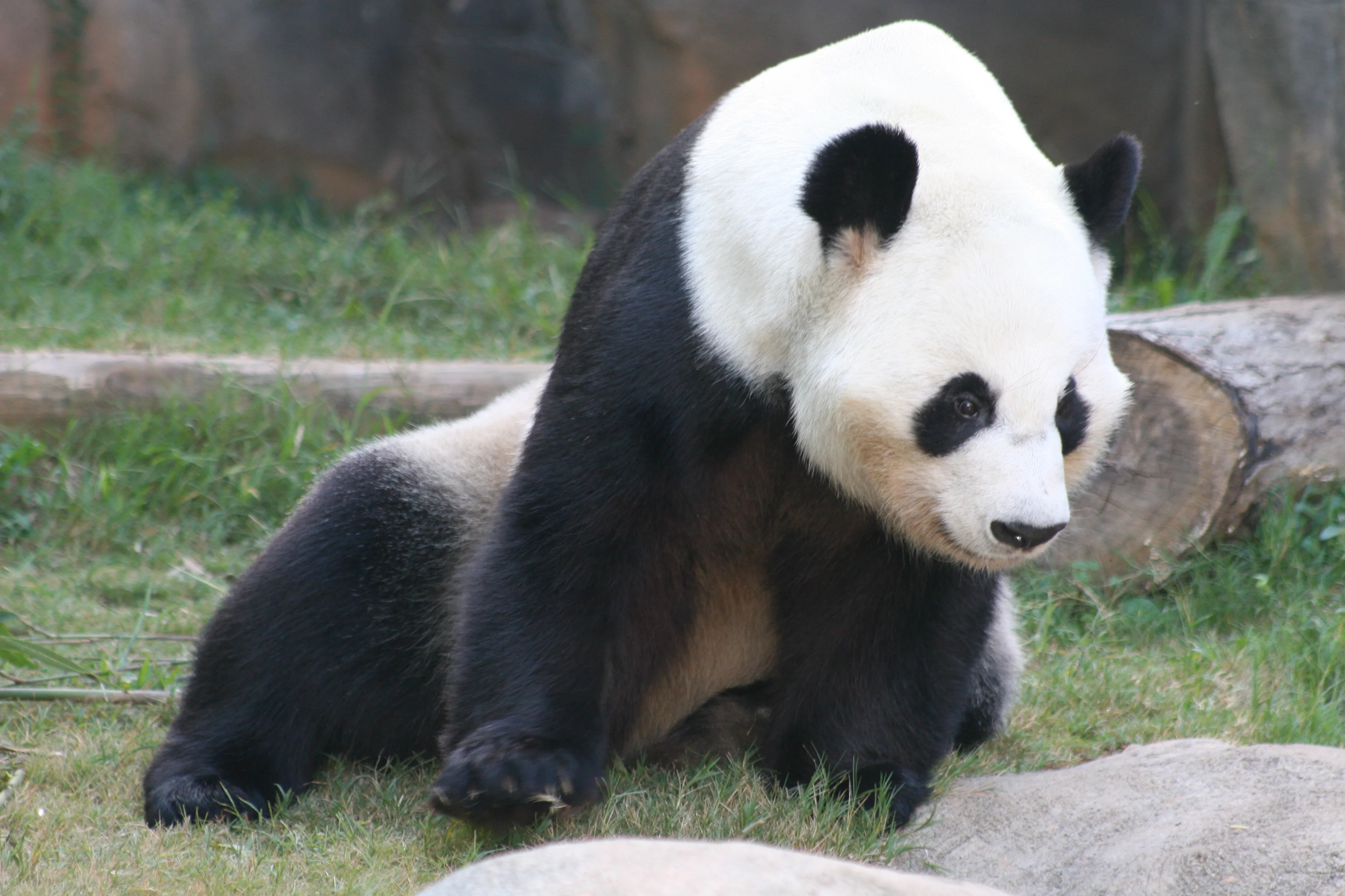 Zoo Atlanta
