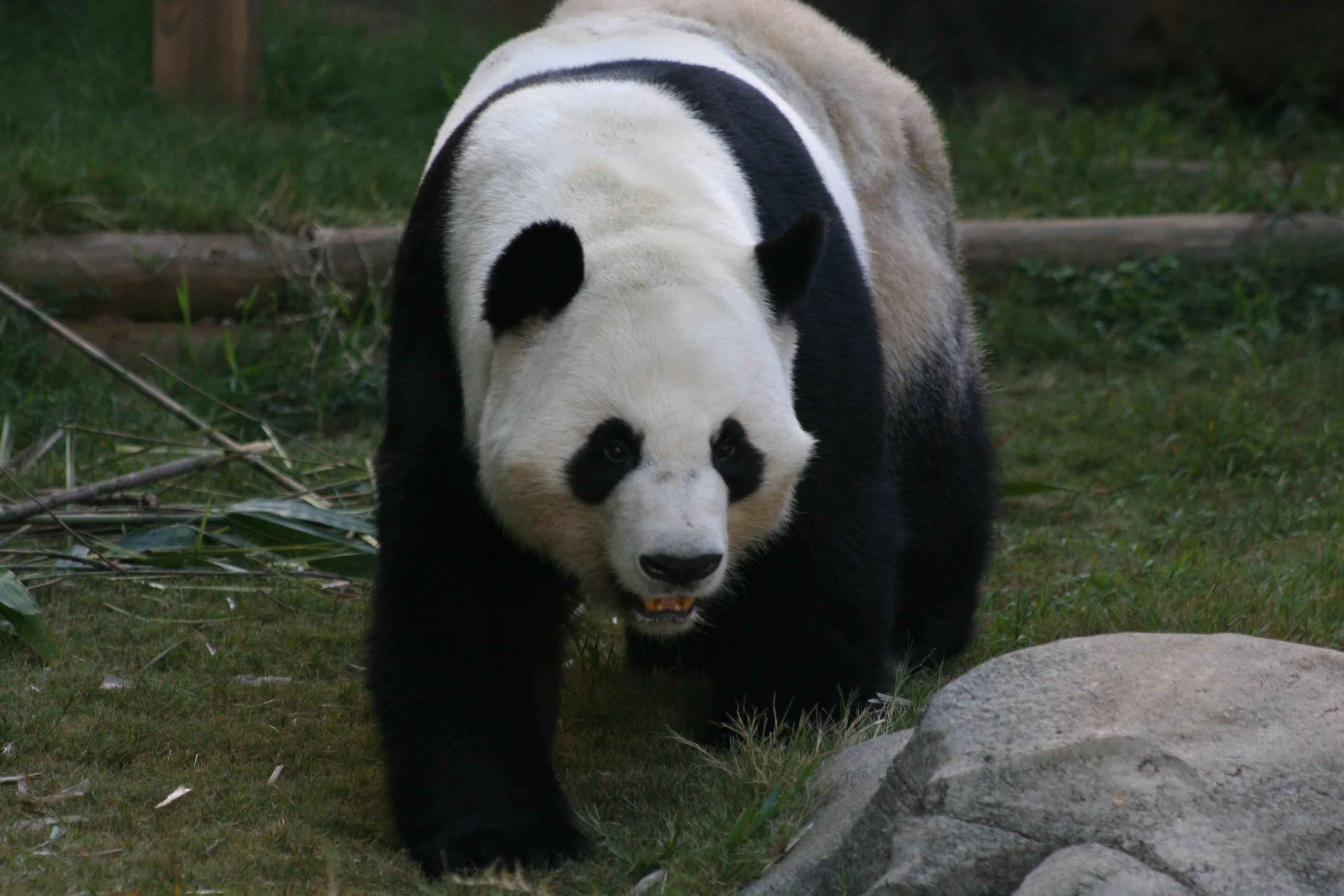 Zoo Atlanta