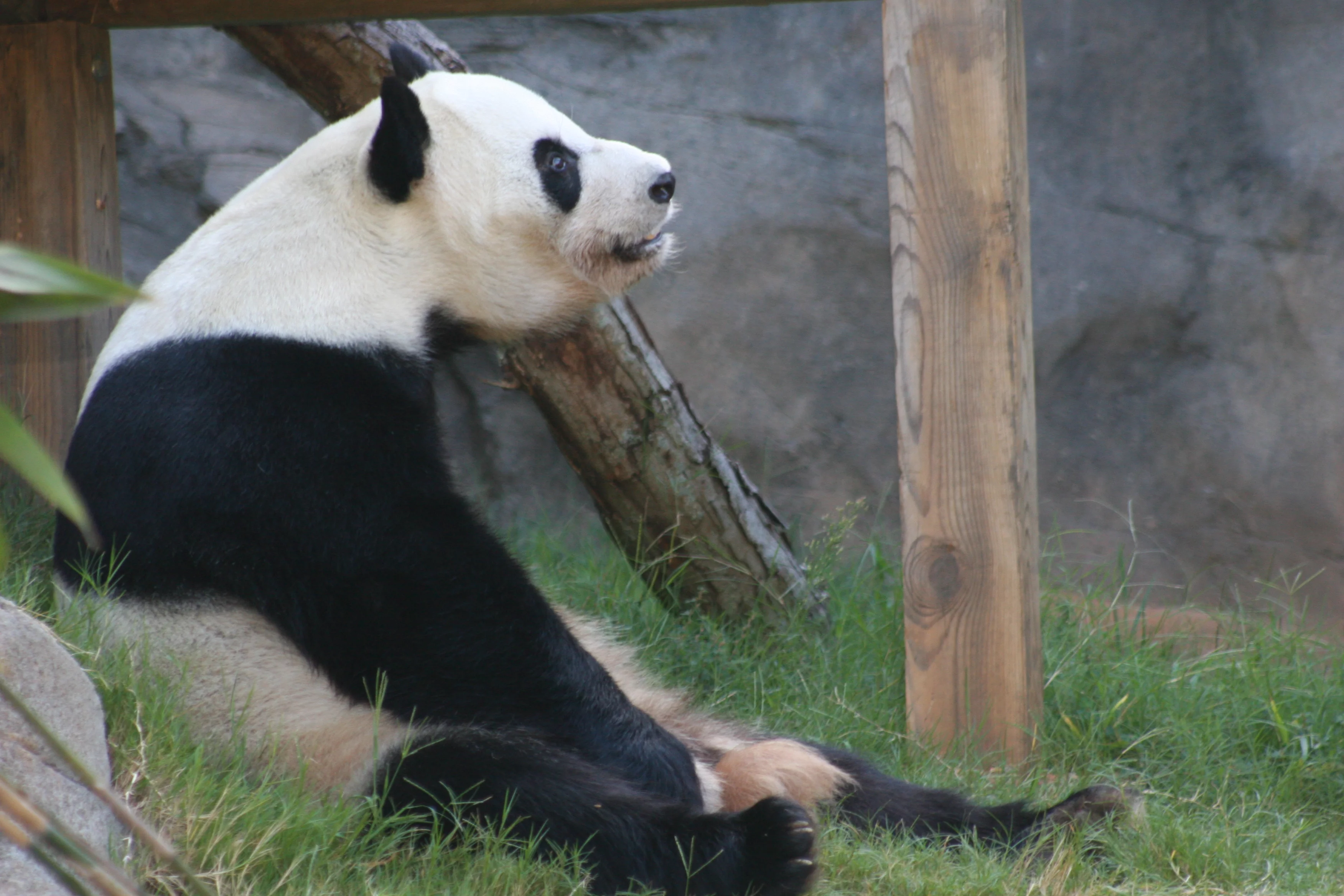Zoo Atlanta