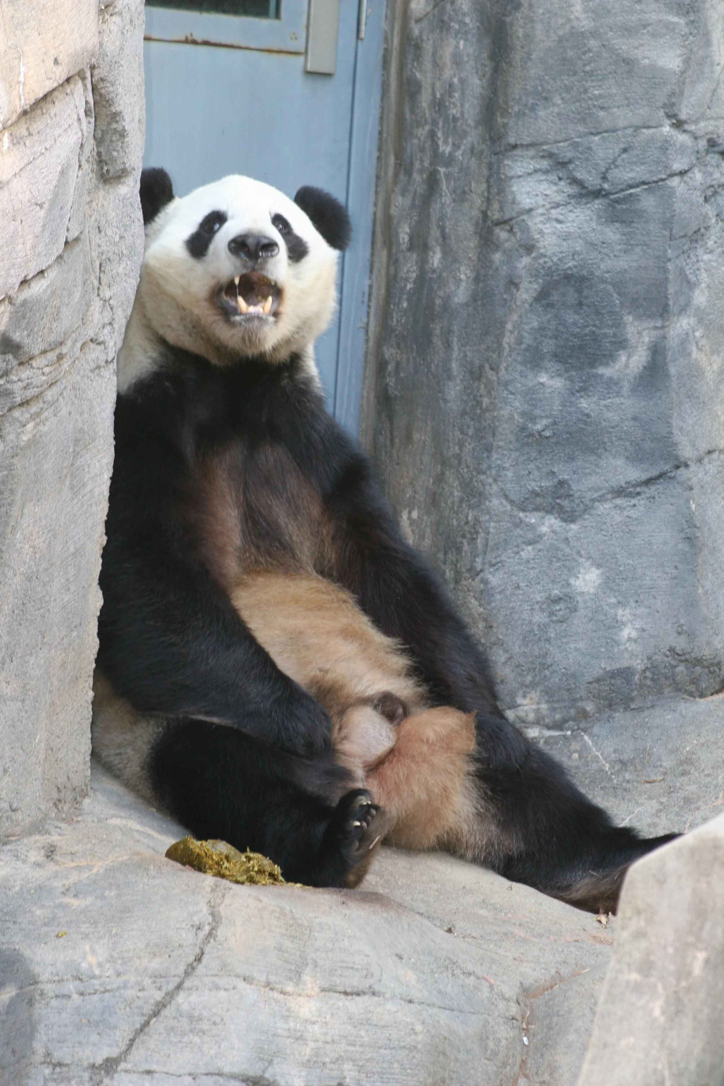 Zoo Atlanta