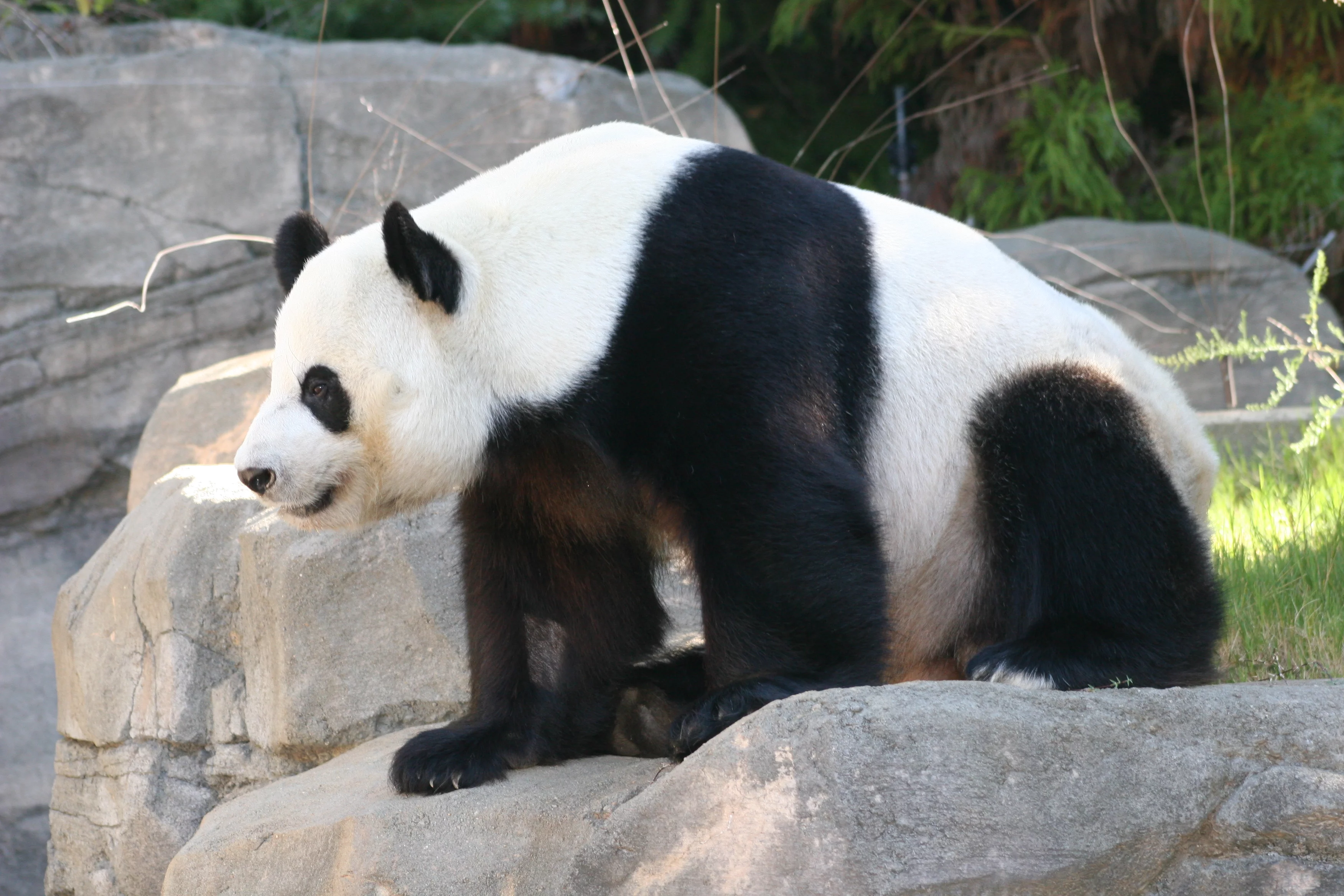 Zoo Atlanta