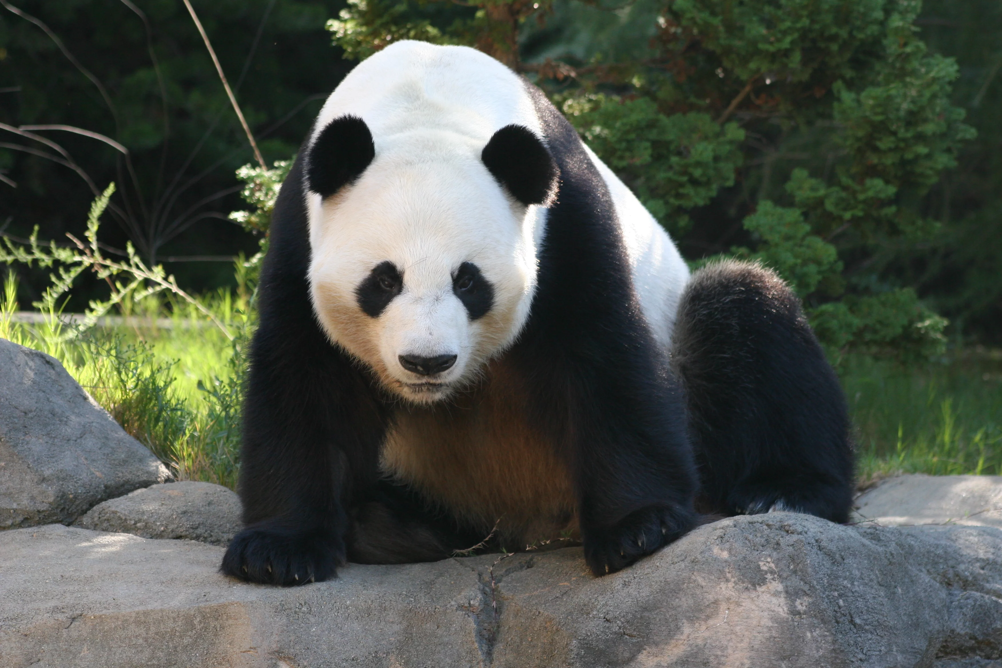 Zoo Atlanta