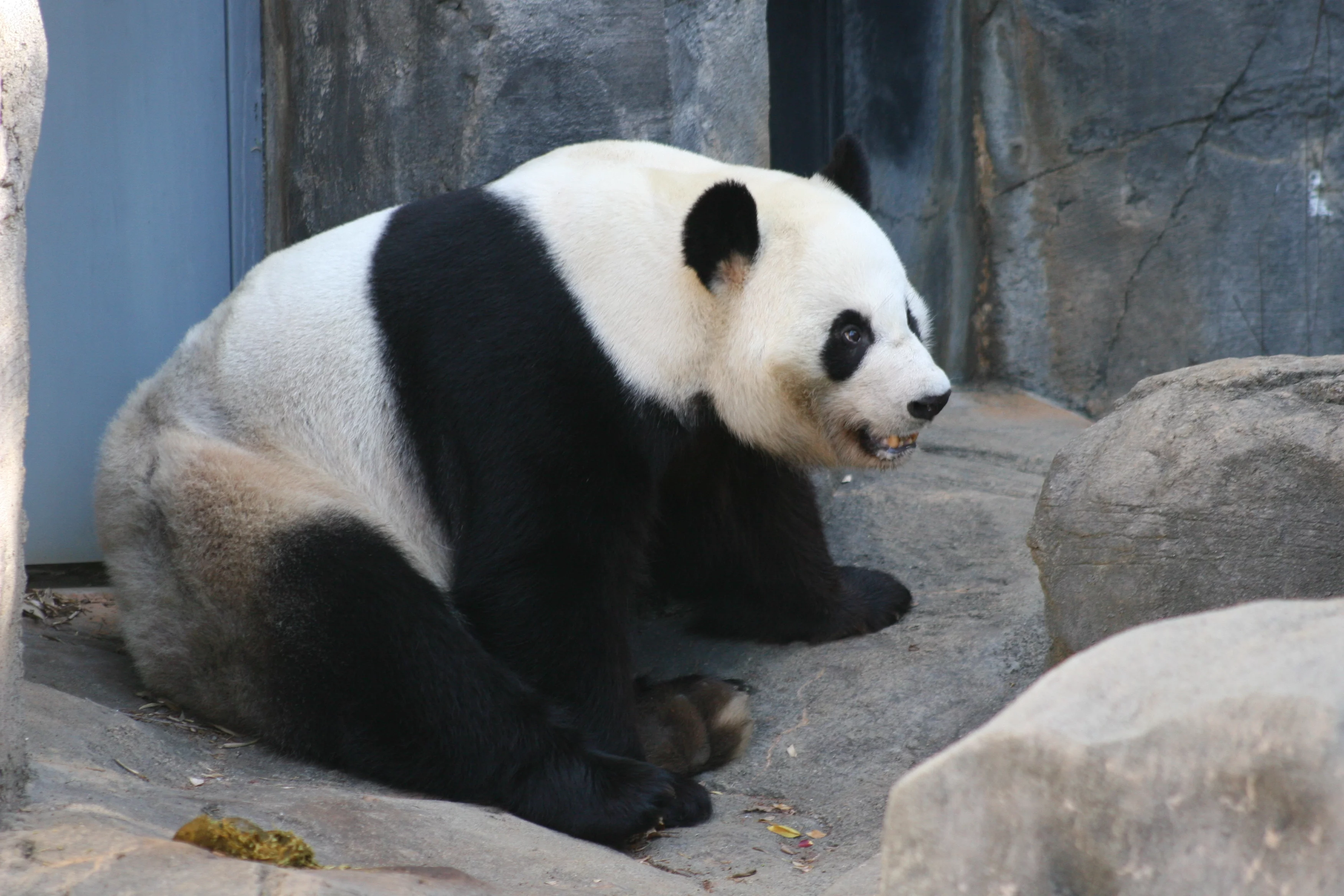 Zoo Atlanta