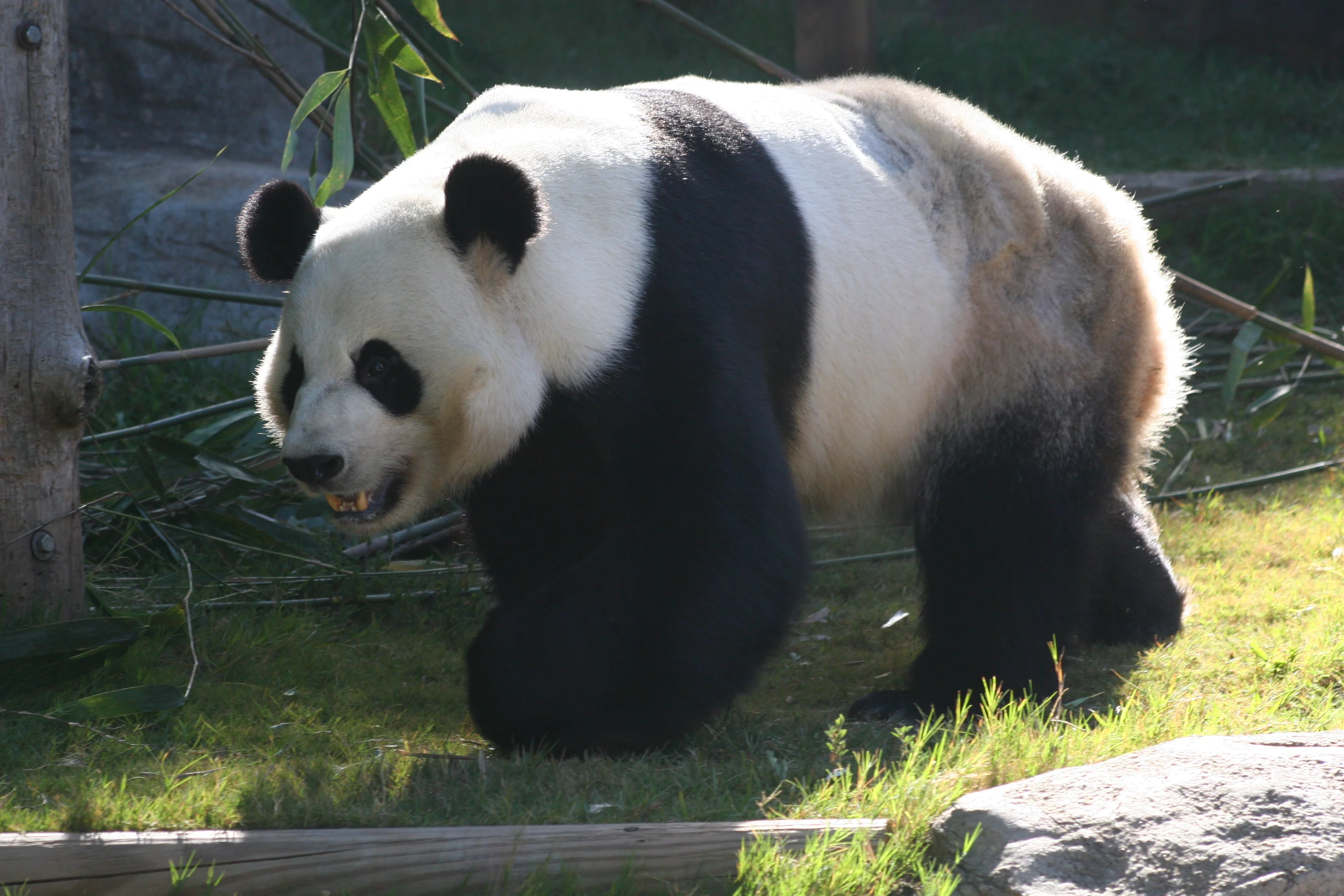 Zoo Atlanta
