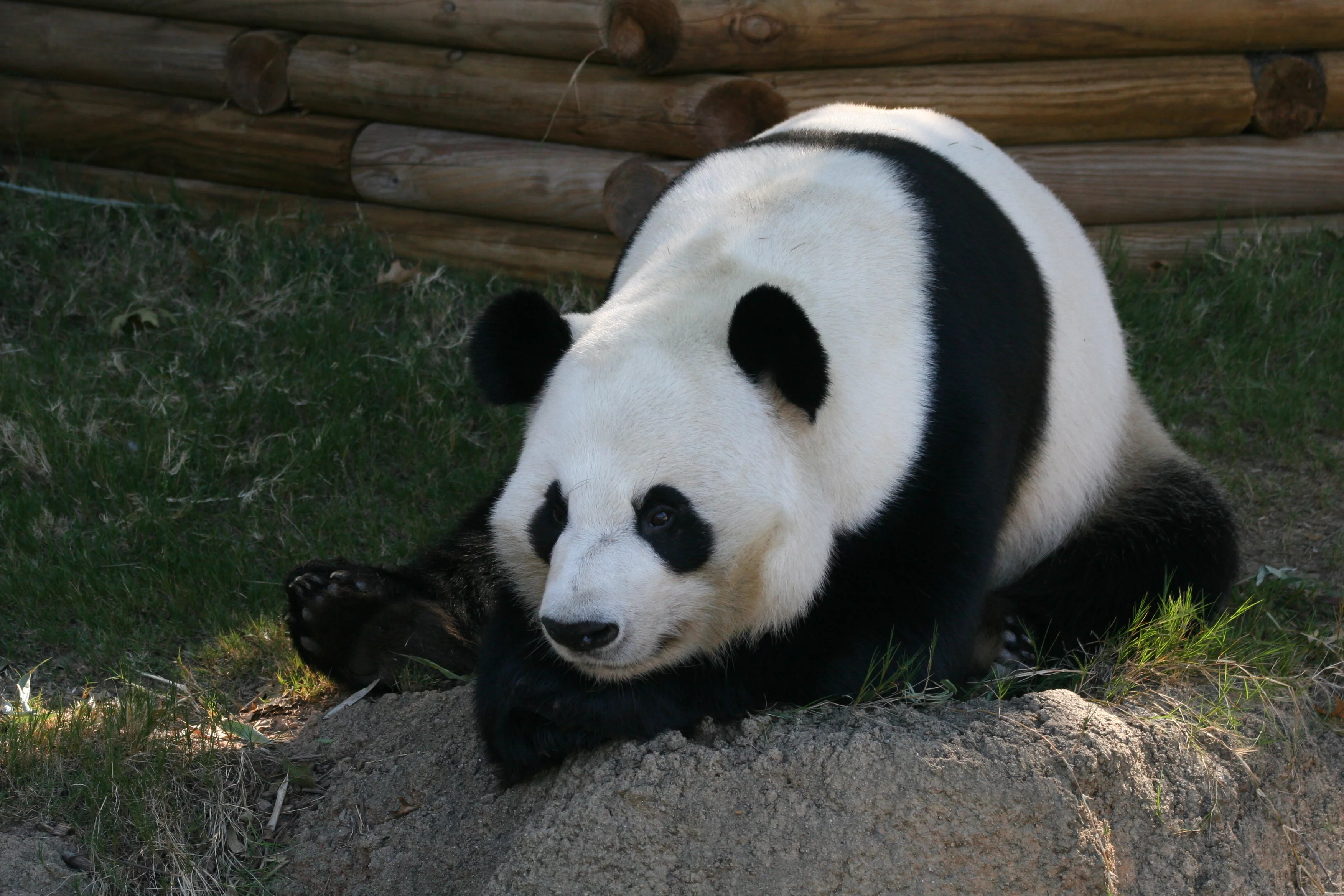 Zoo Atlanta