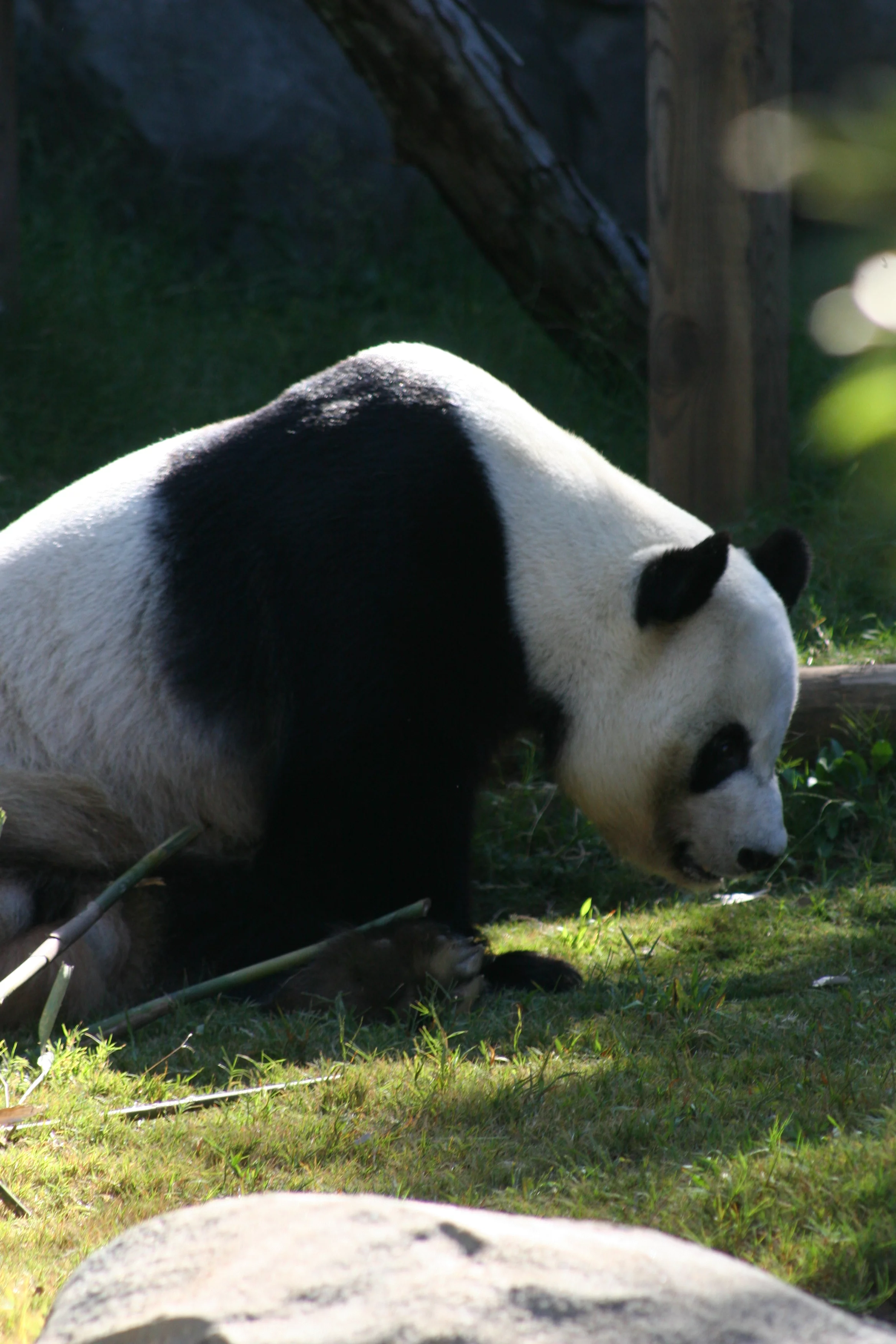 Zoo Atlanta