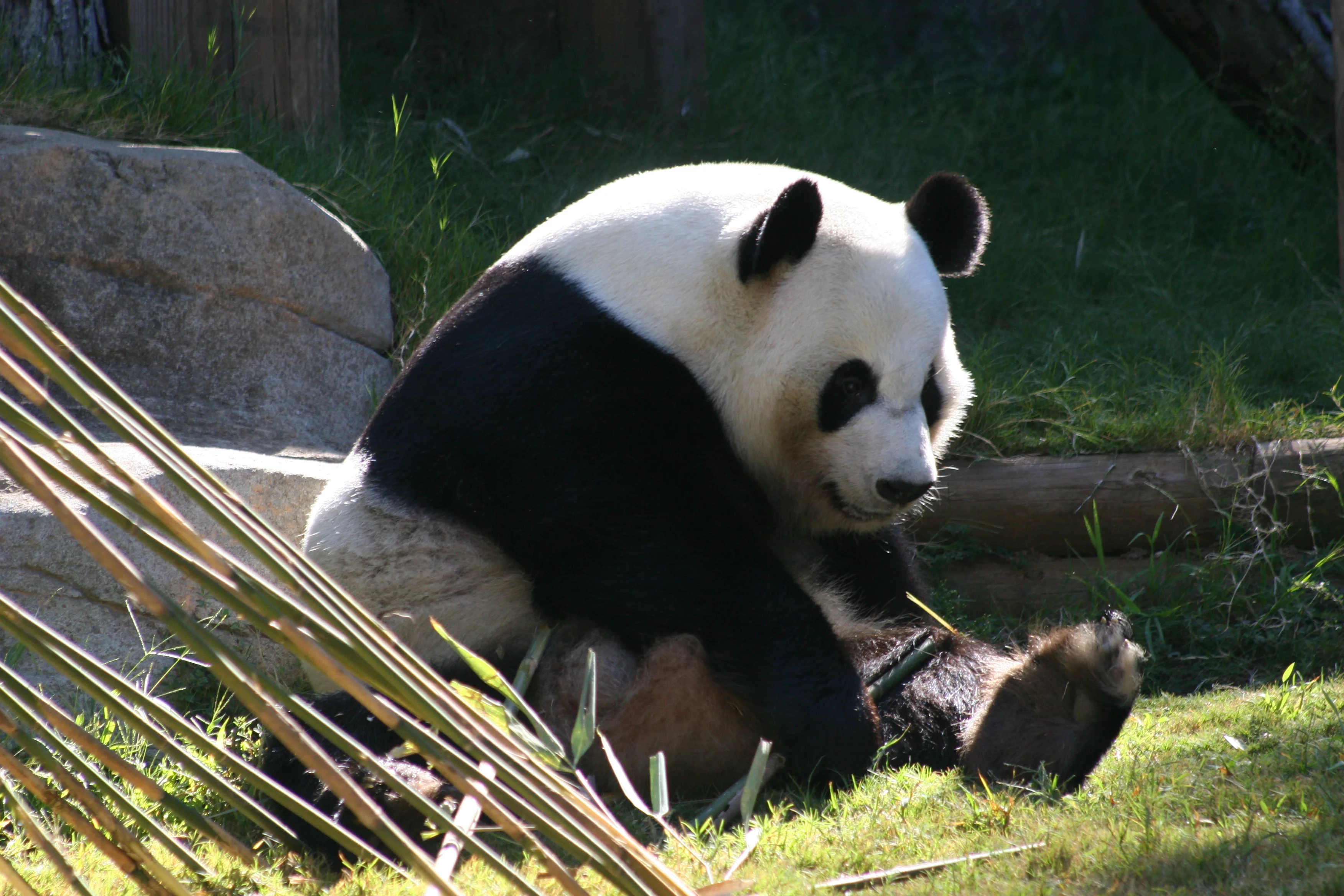 Zoo Atlanta