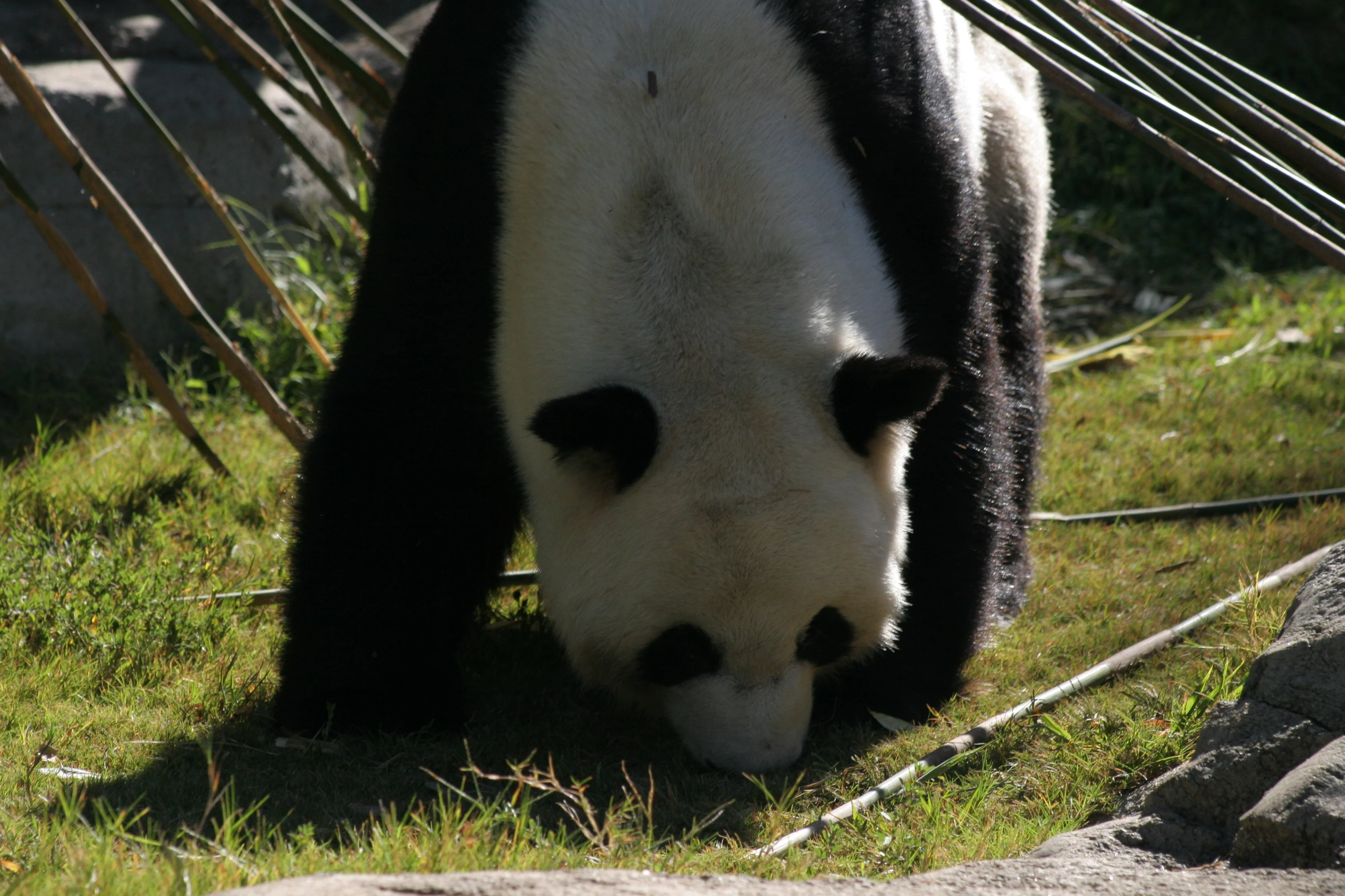 Zoo Atlanta