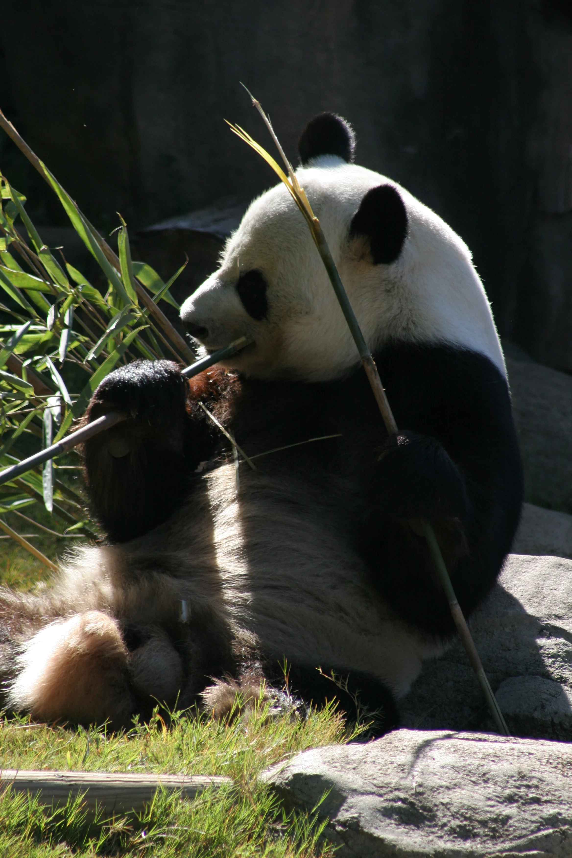 Zoo Atlanta