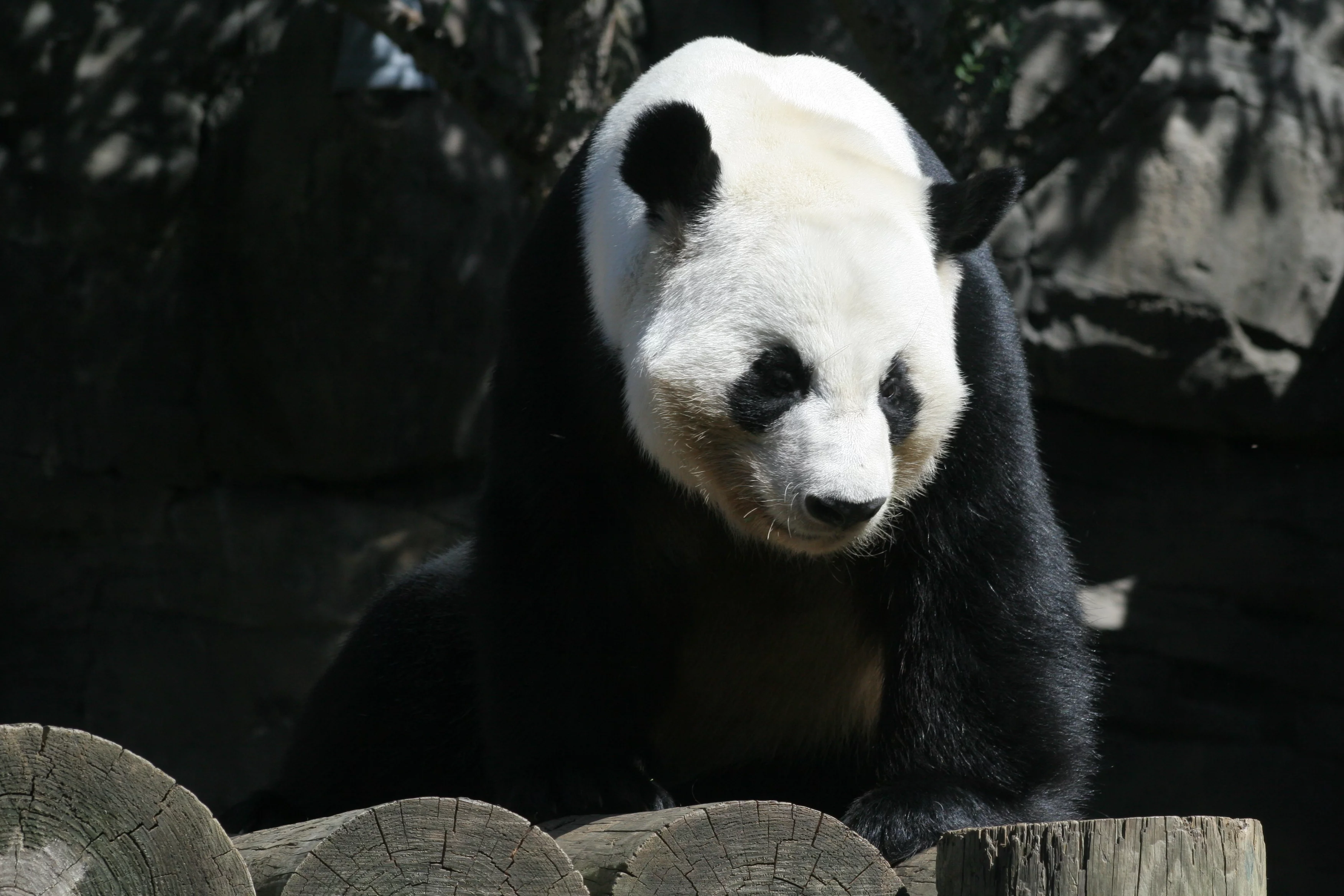 Zoo Atlanta