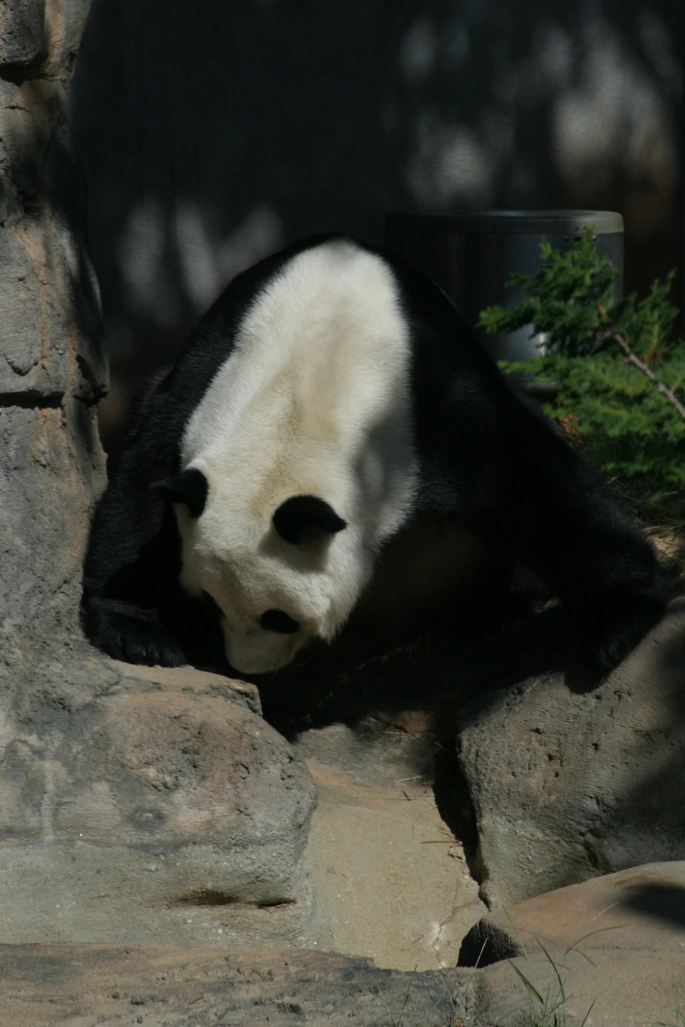 Zoo Atlanta