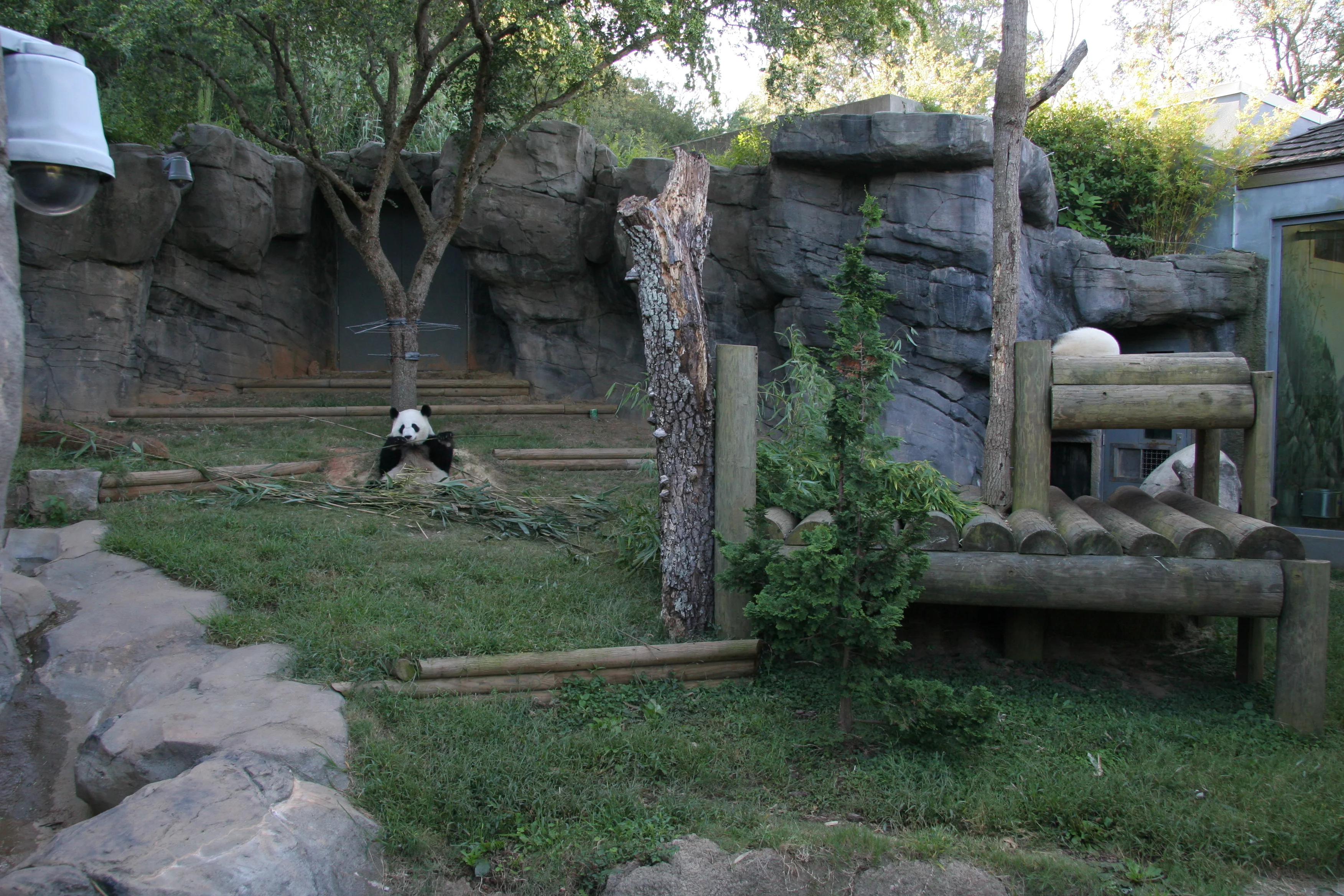 Zoo Atlanta