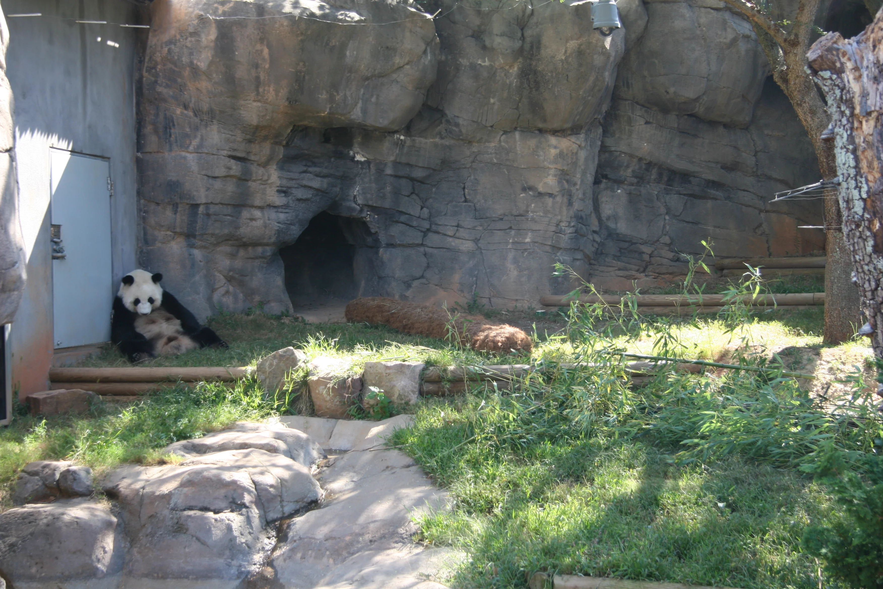Zoo Atlanta