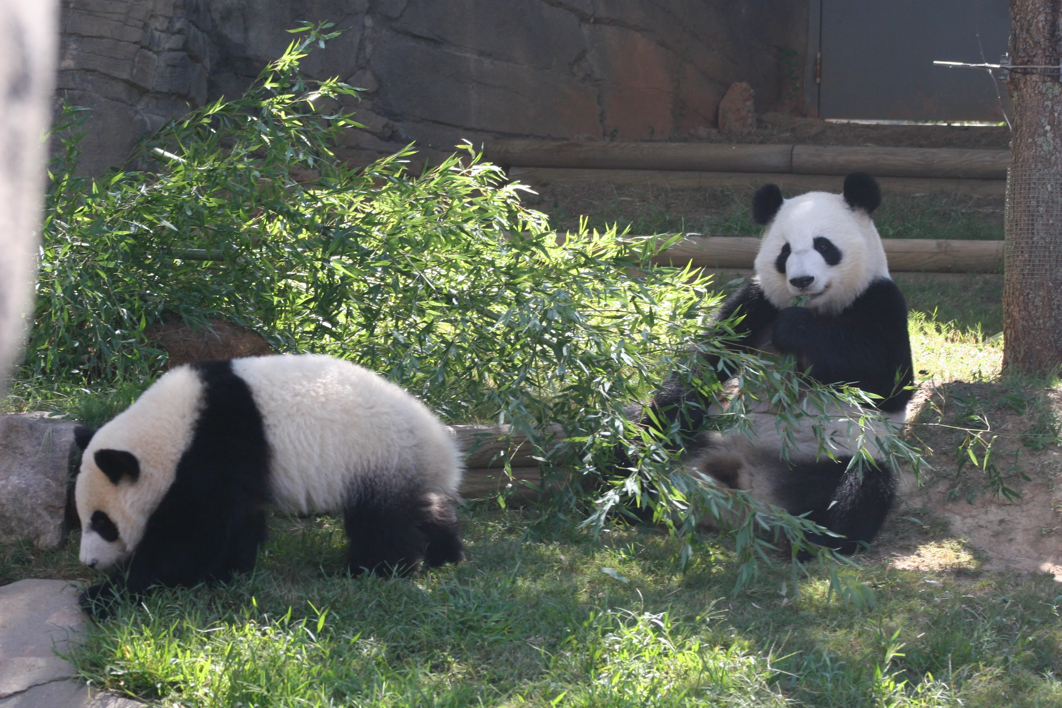 Zoo Atlanta