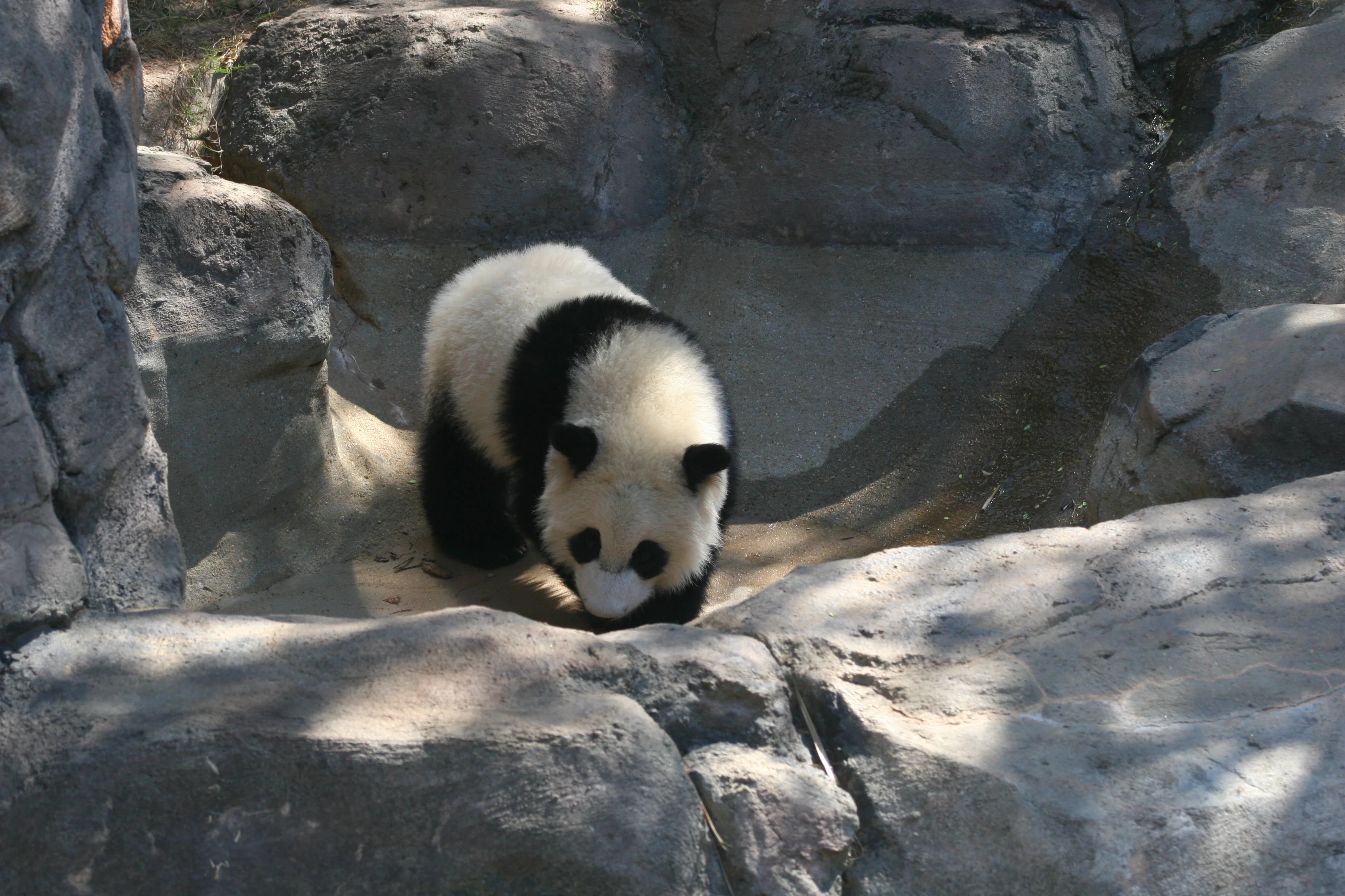 Zoo Atlanta