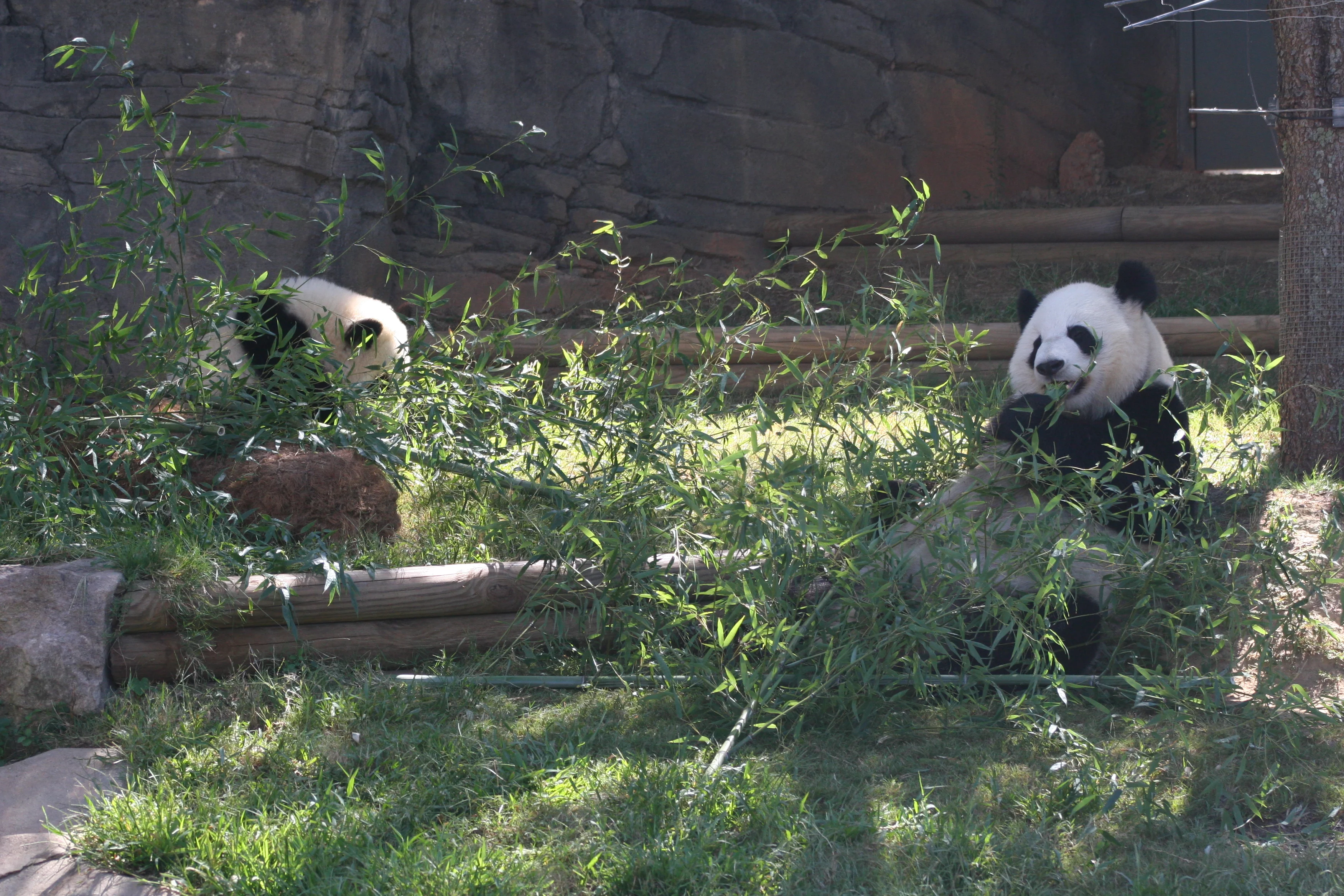 Zoo Atlanta