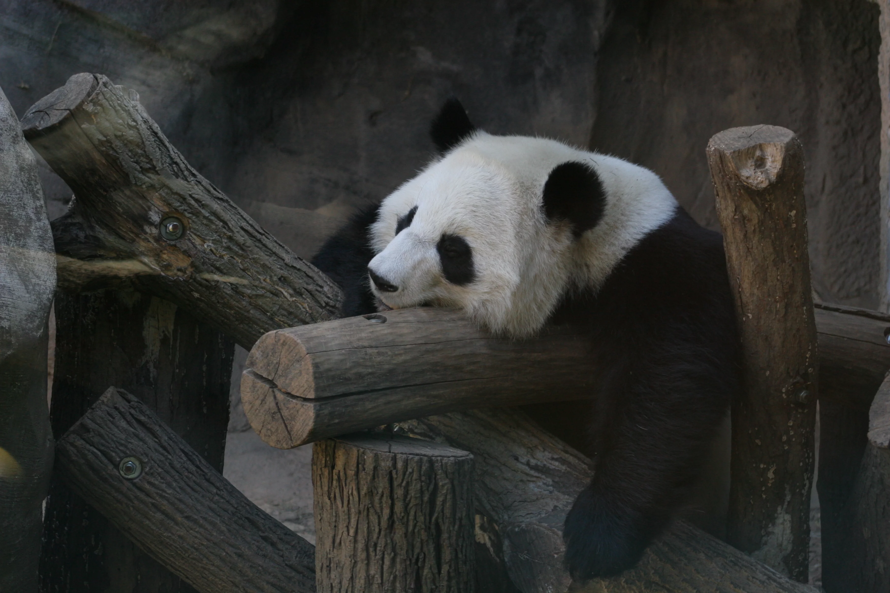 Zoo Atlanta