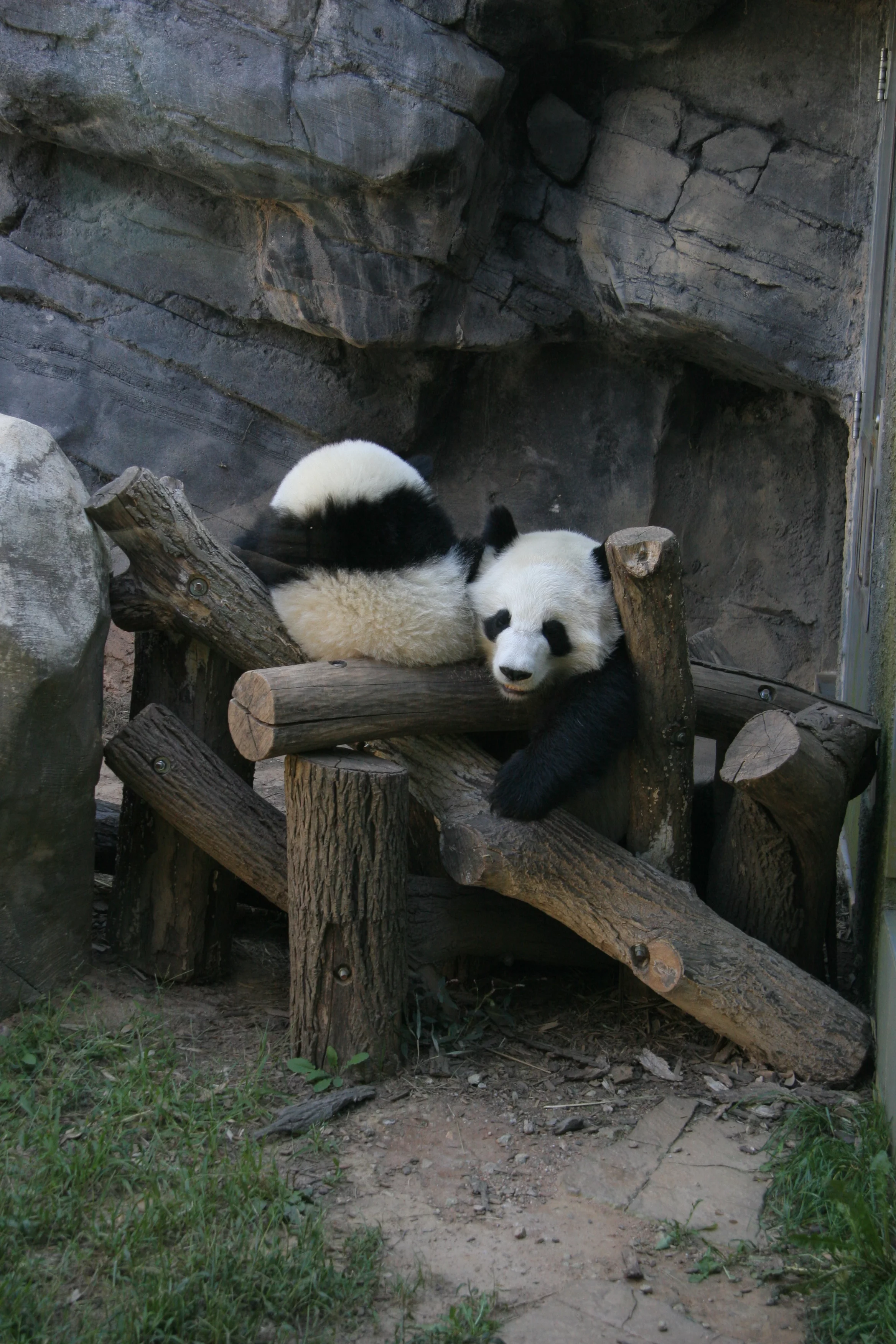 Zoo Atlanta