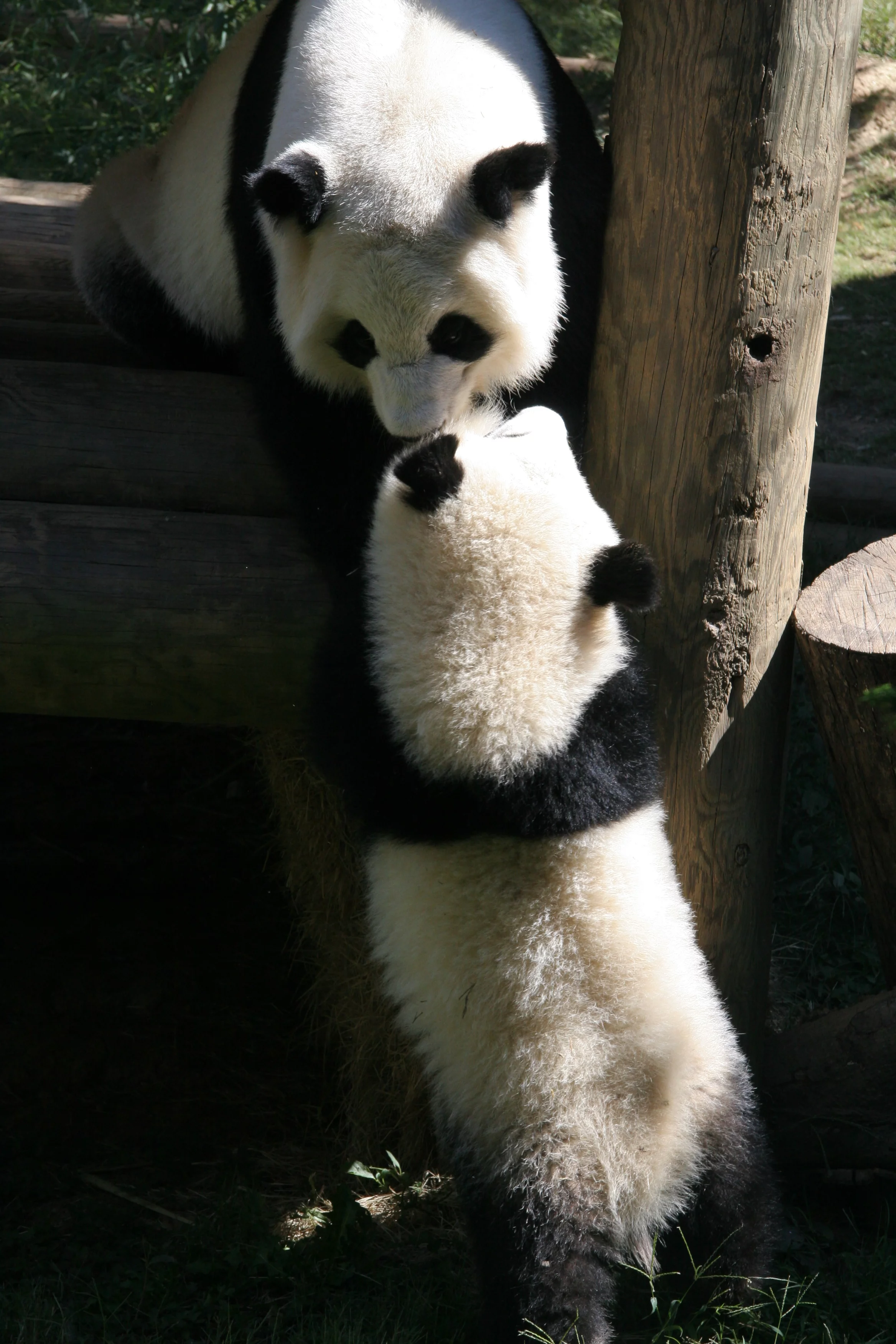 Zoo Atlanta
