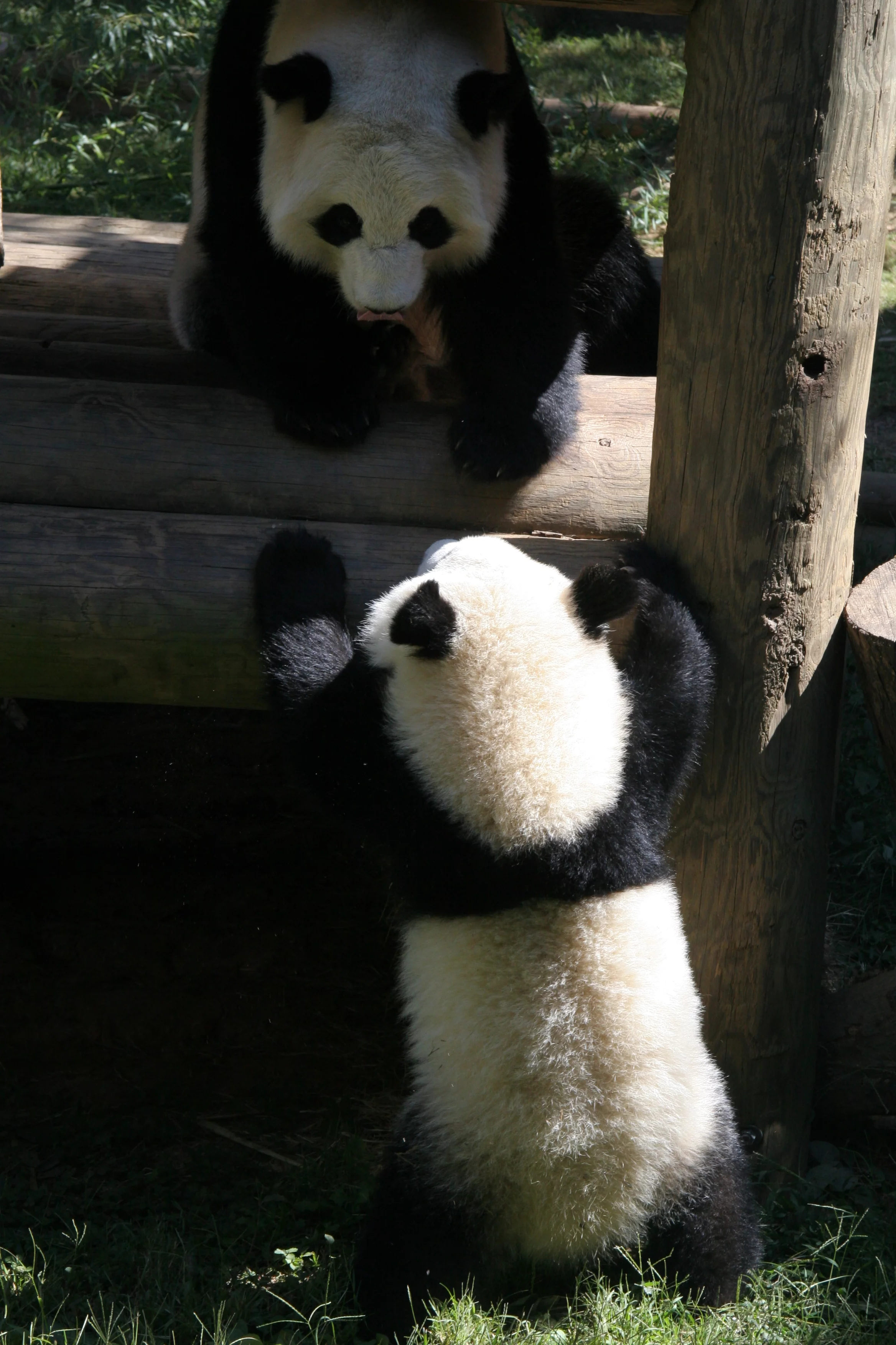 Zoo Atlanta