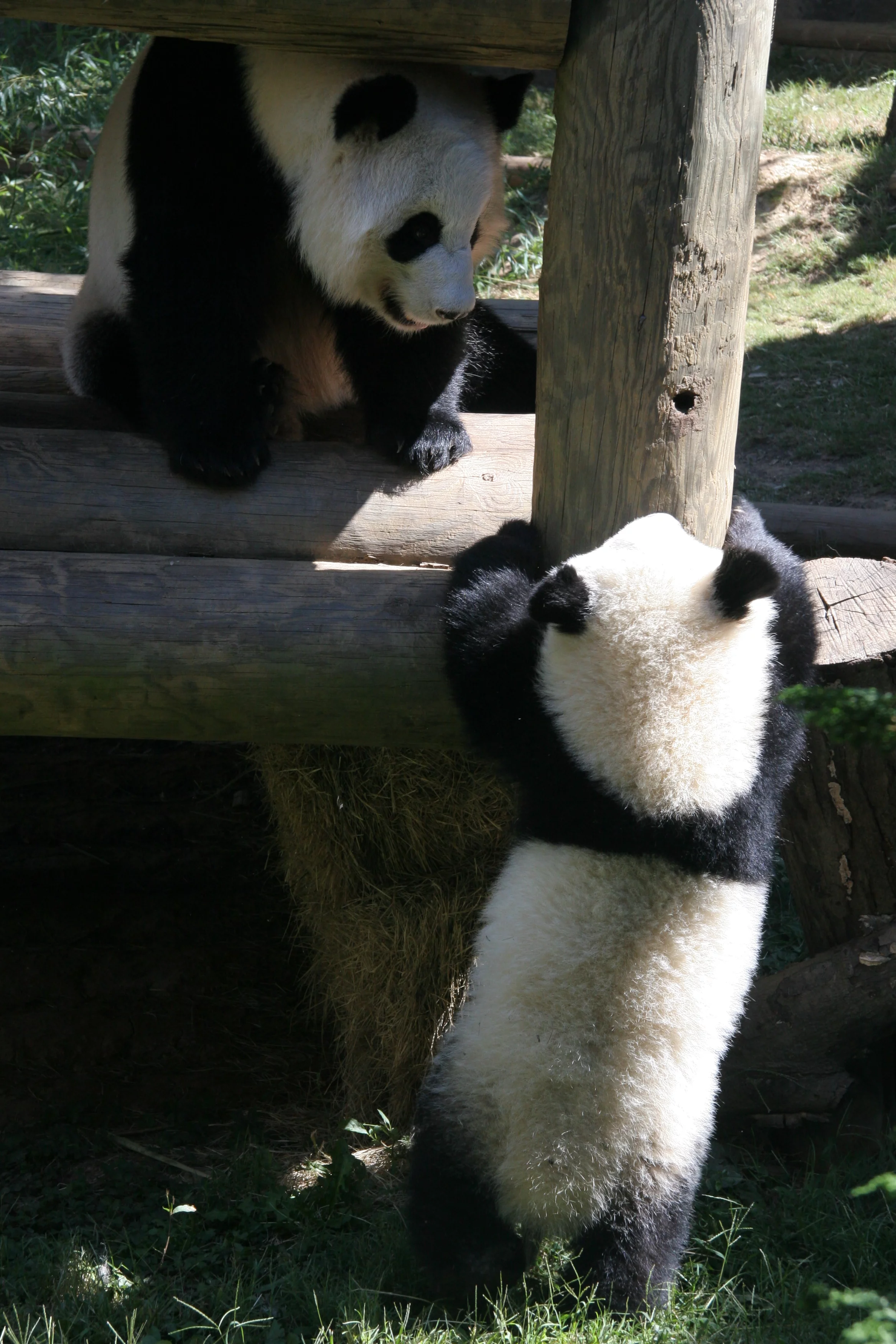 Zoo Atlanta