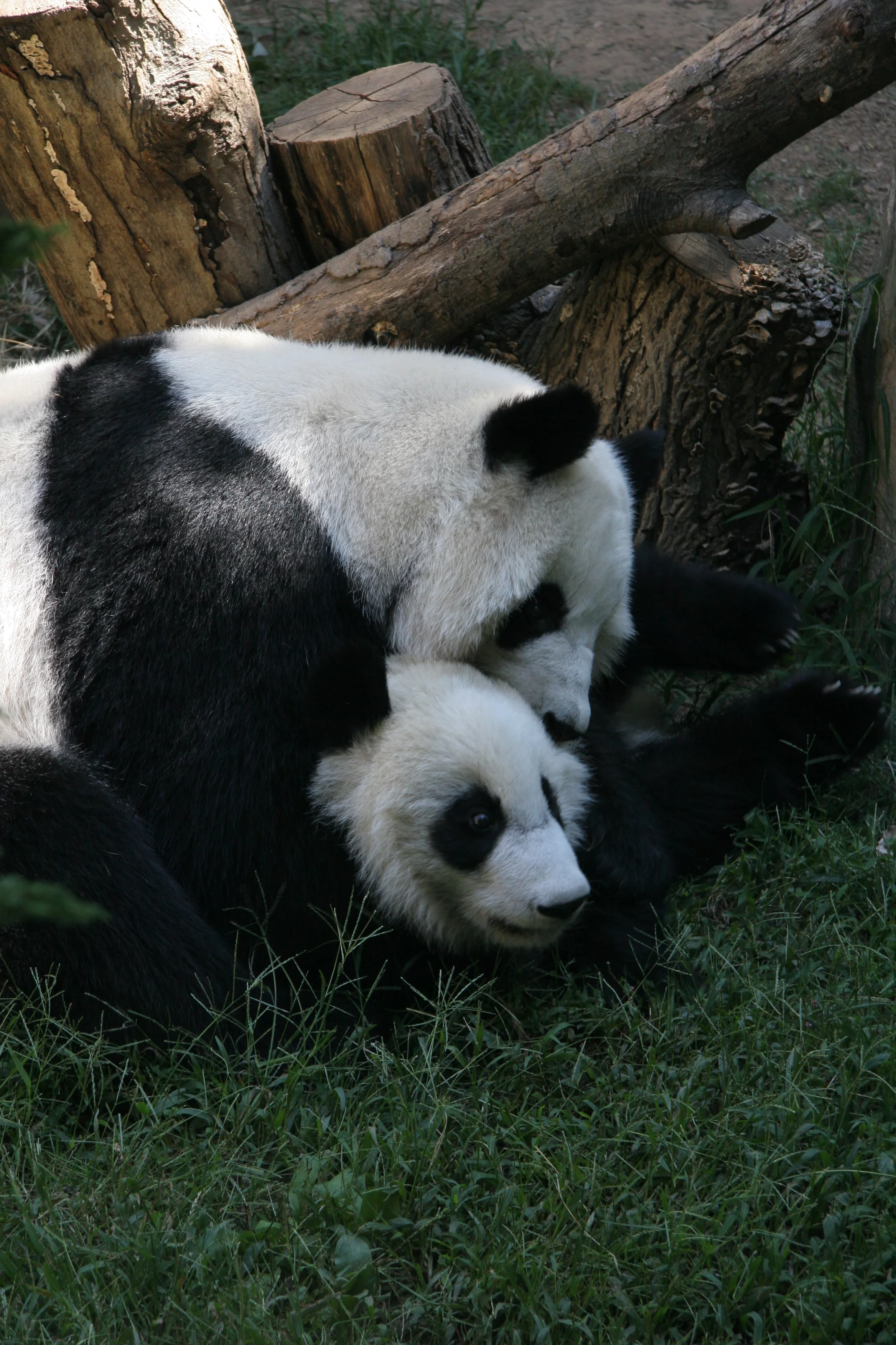 Zoo Atlanta