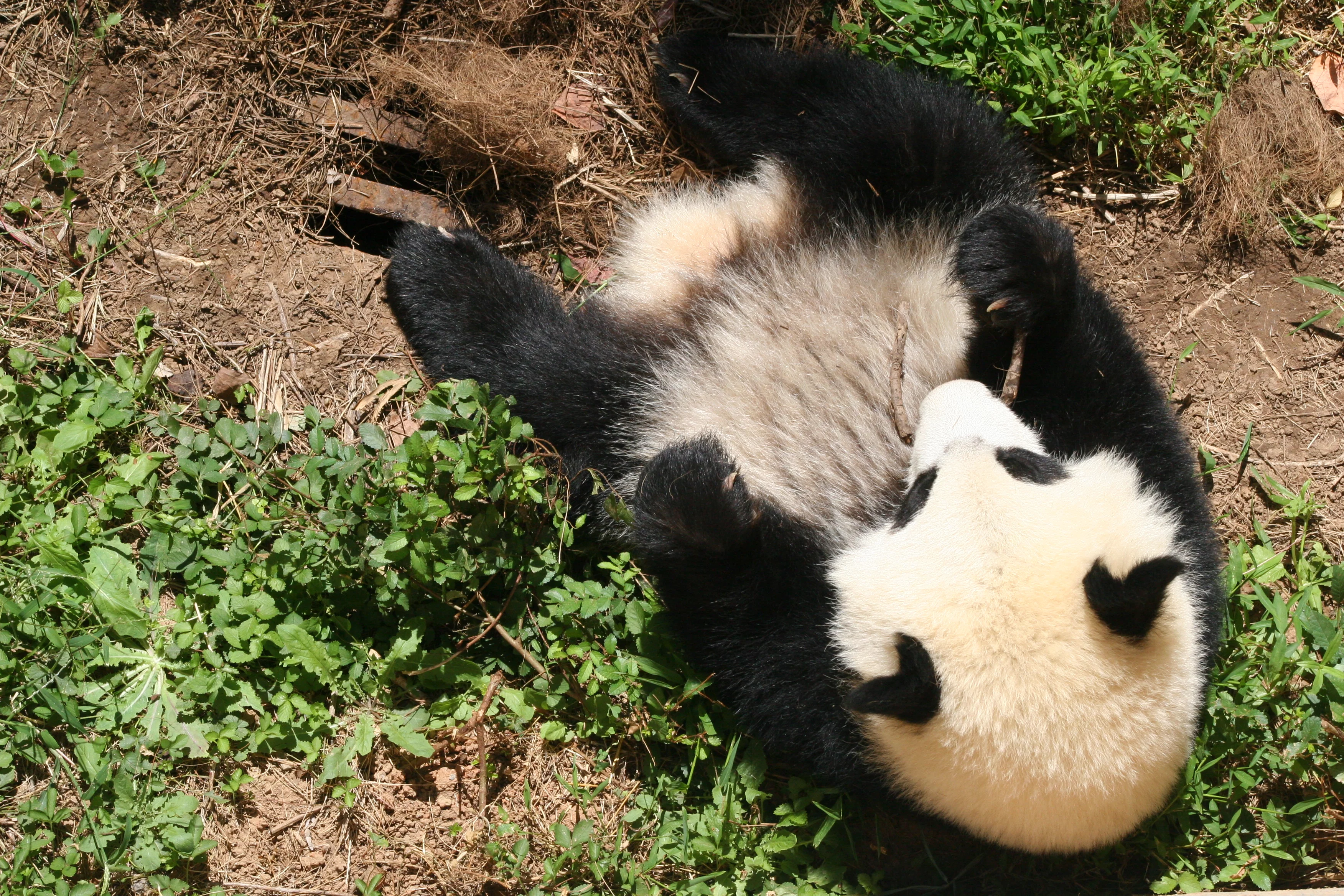 Zoo Atlanta
