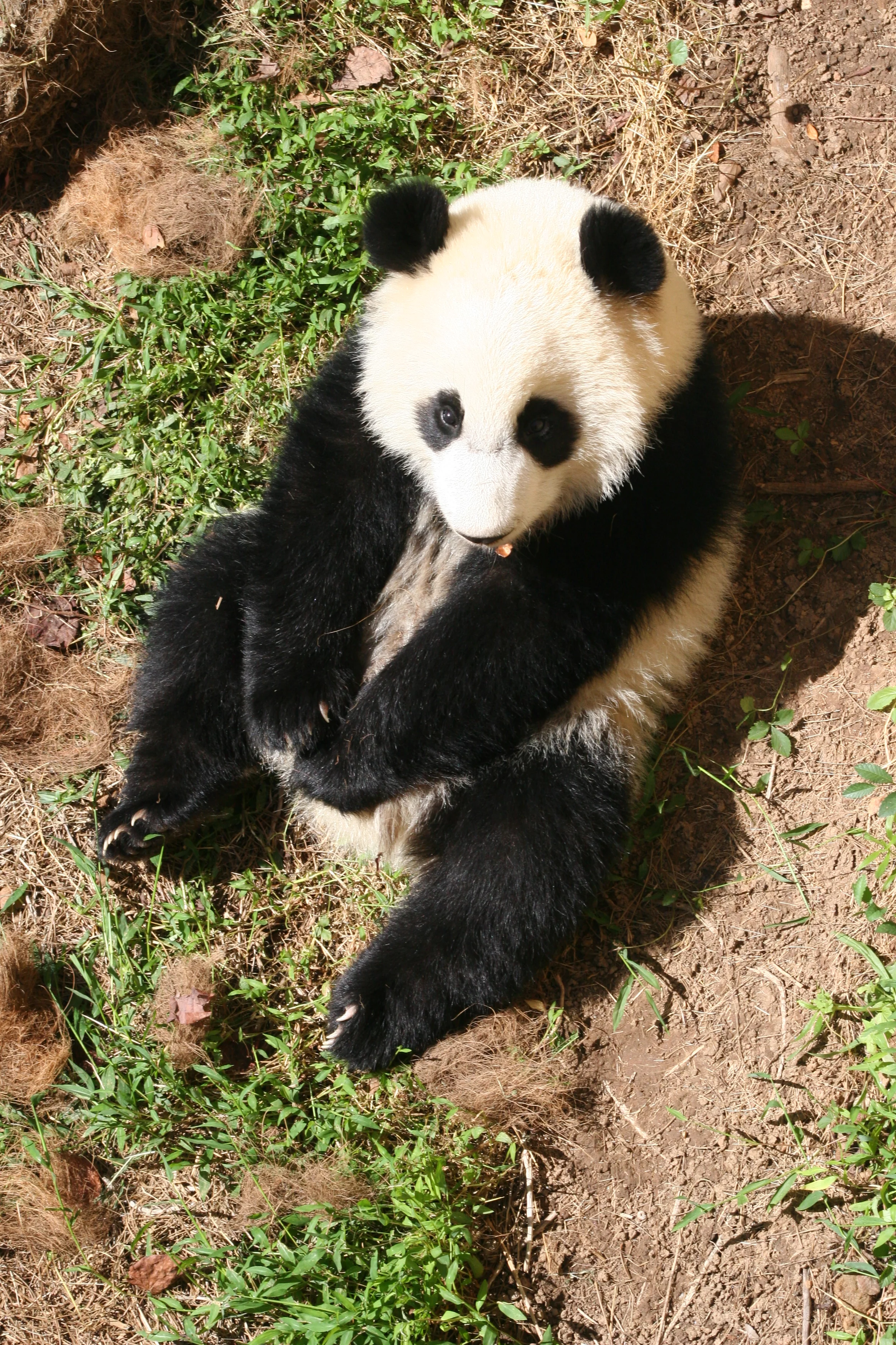 Zoo Atlanta