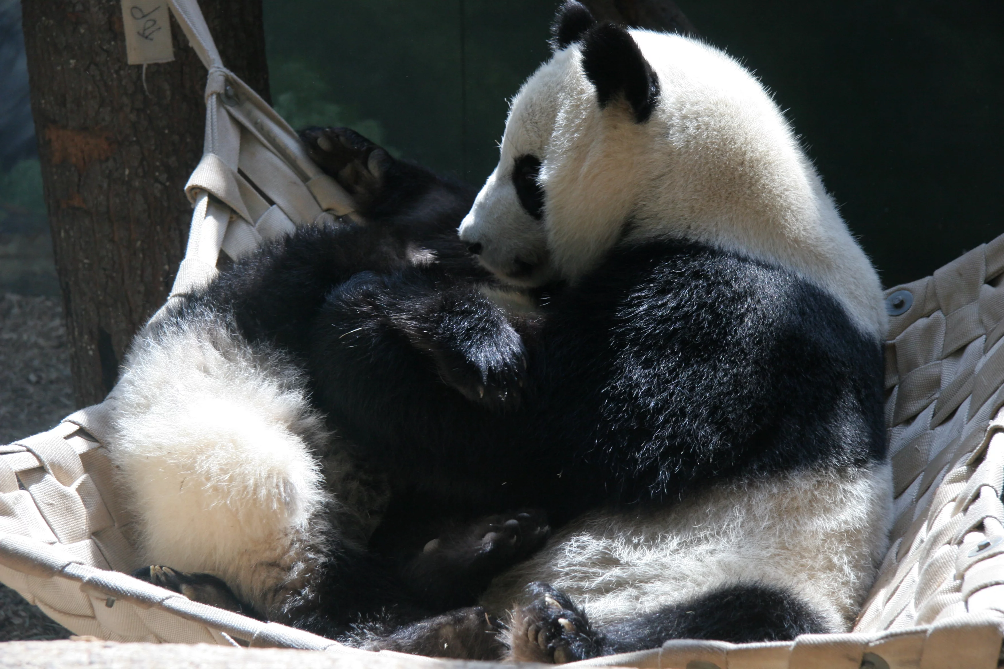Zoo Atlanta