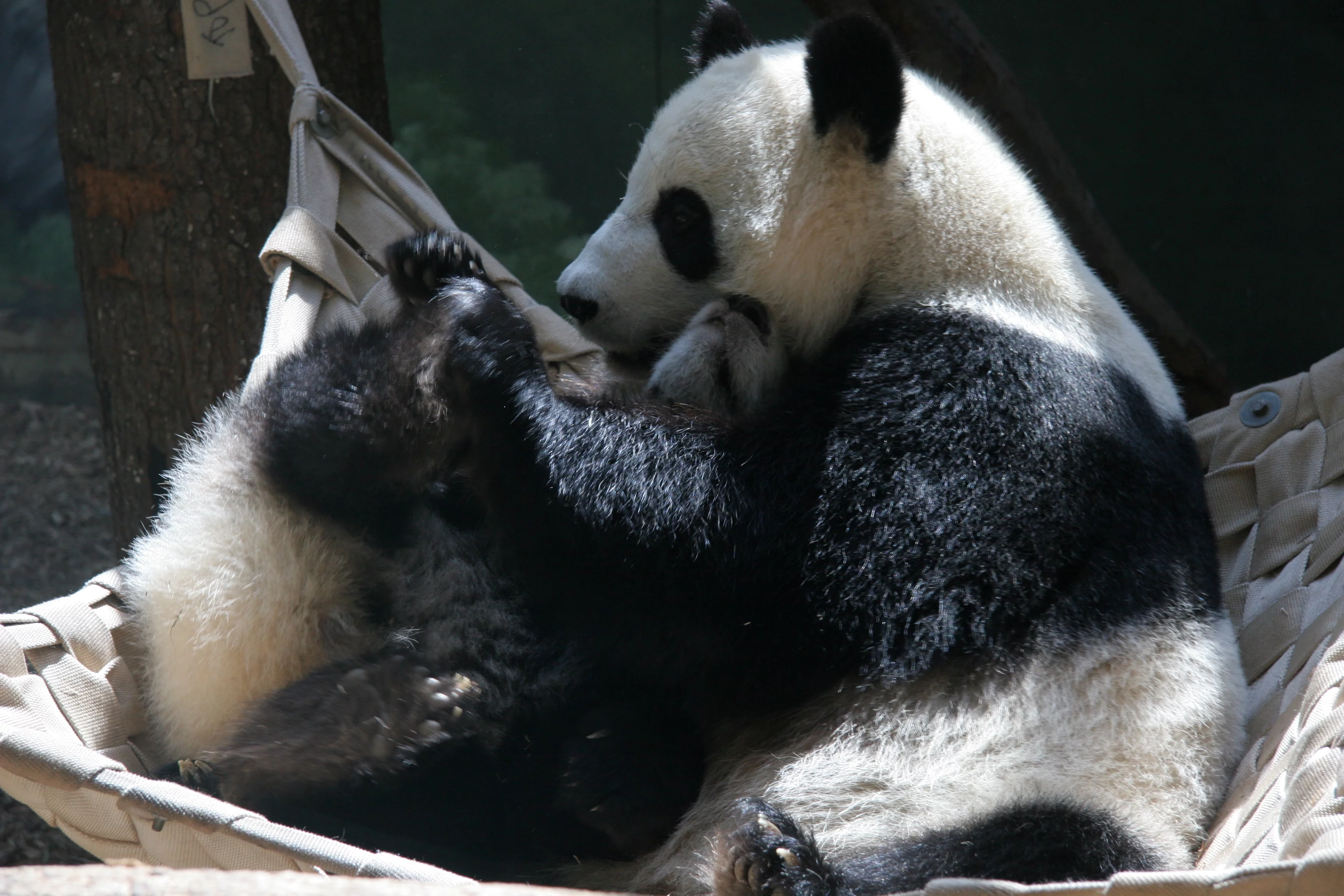 Zoo Atlanta