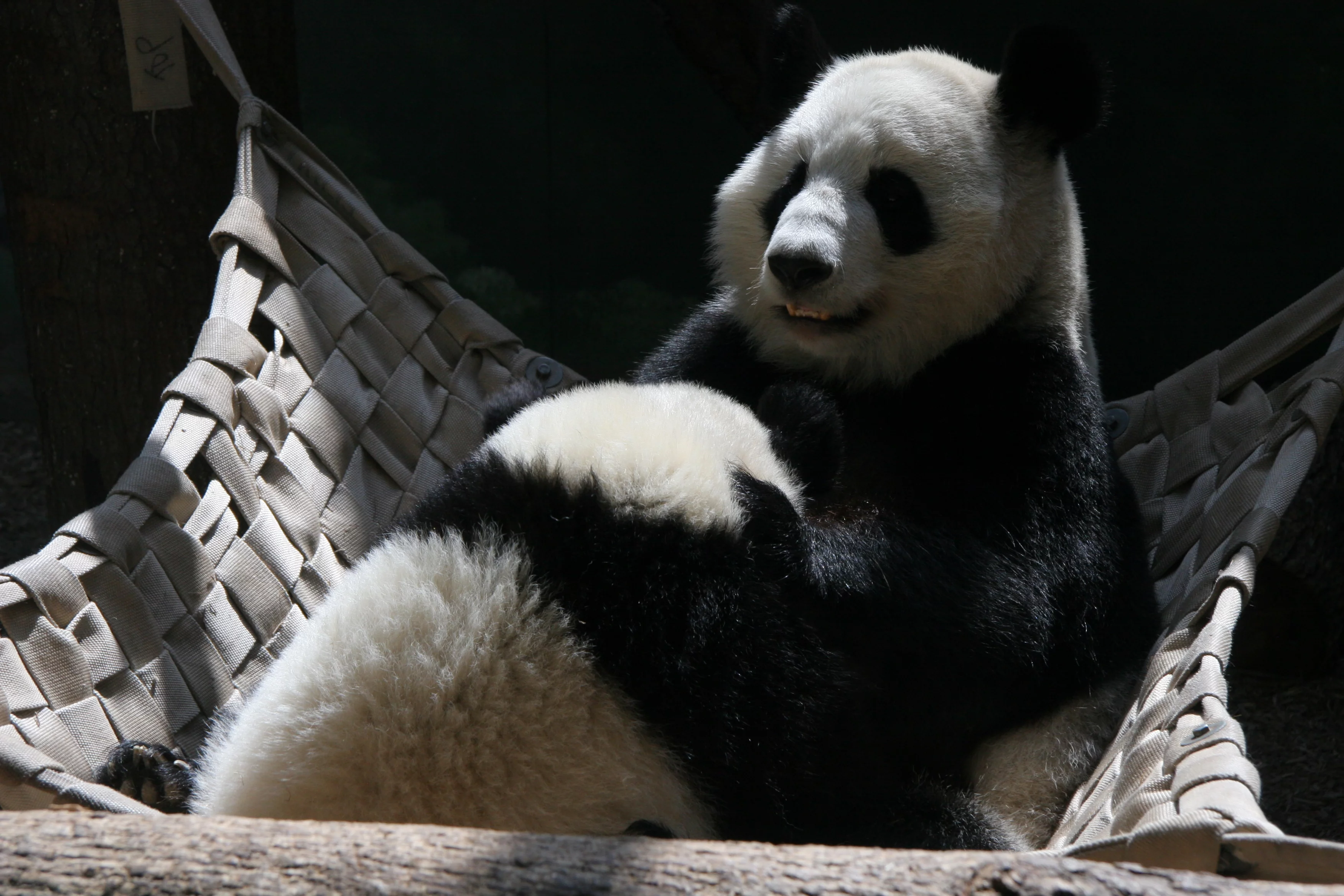 Zoo Atlanta