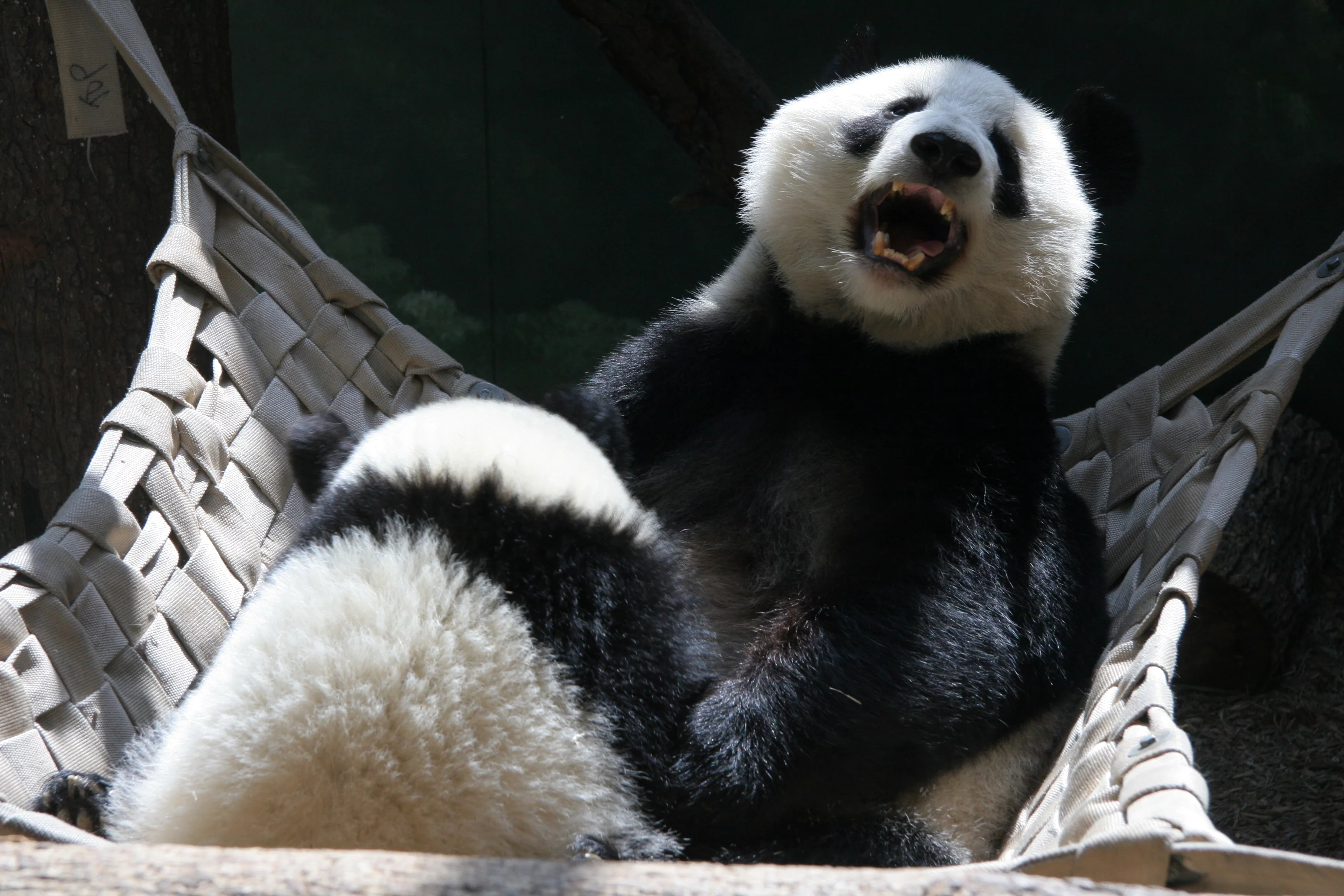 Zoo Atlanta
