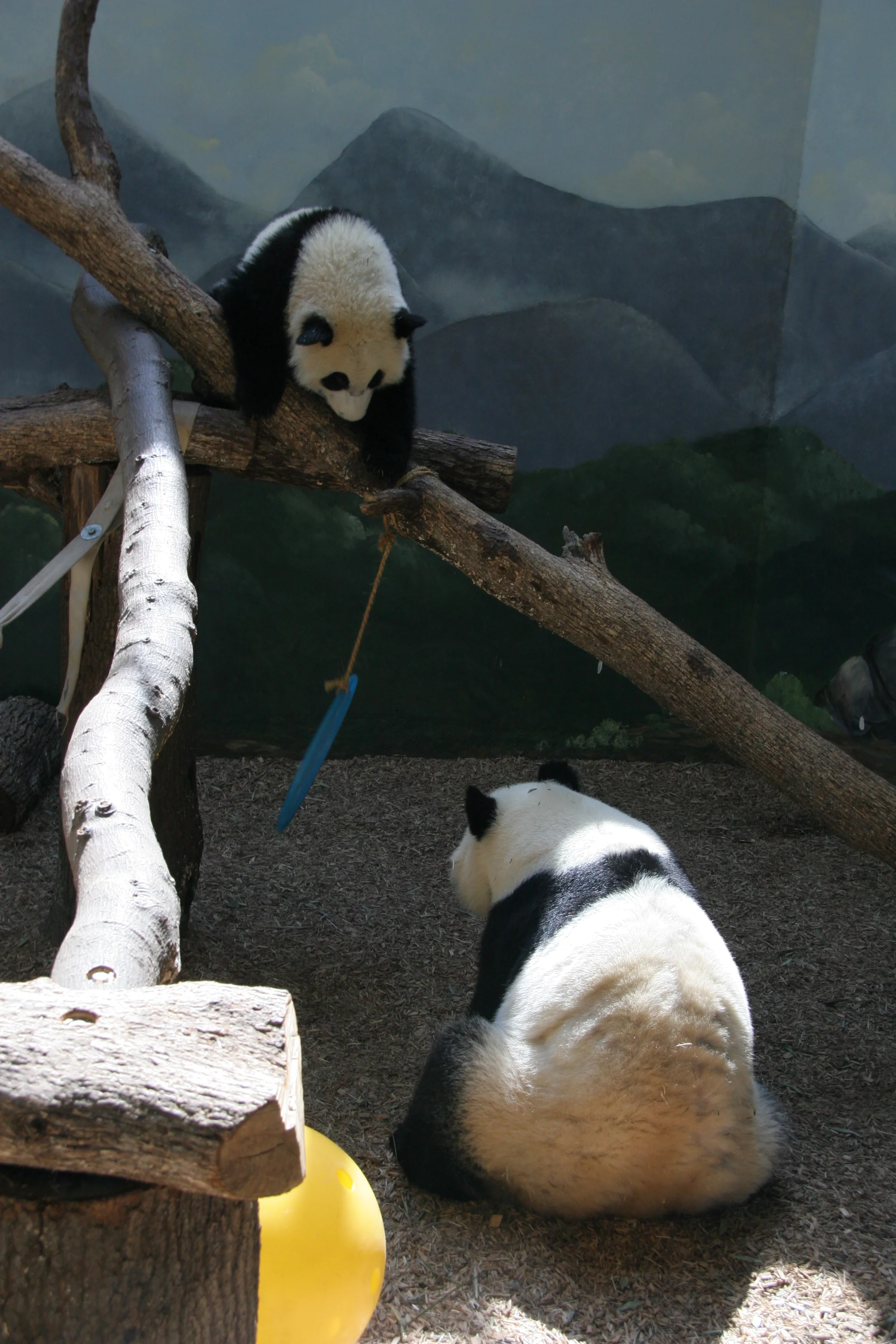 Zoo Atlanta