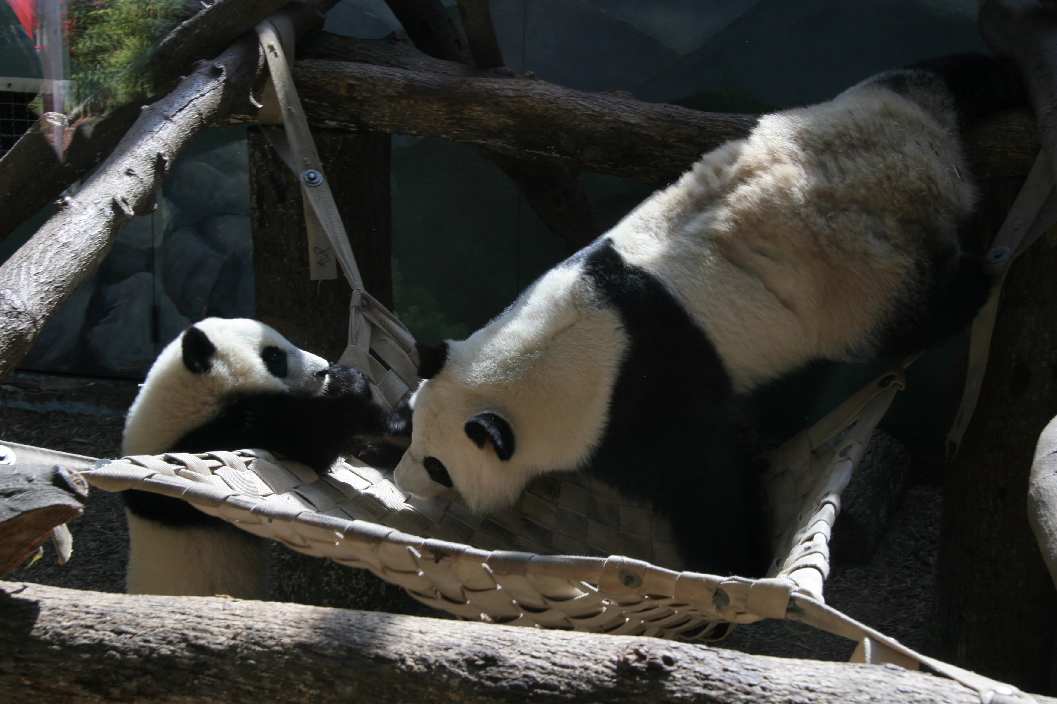 Zoo Atlanta