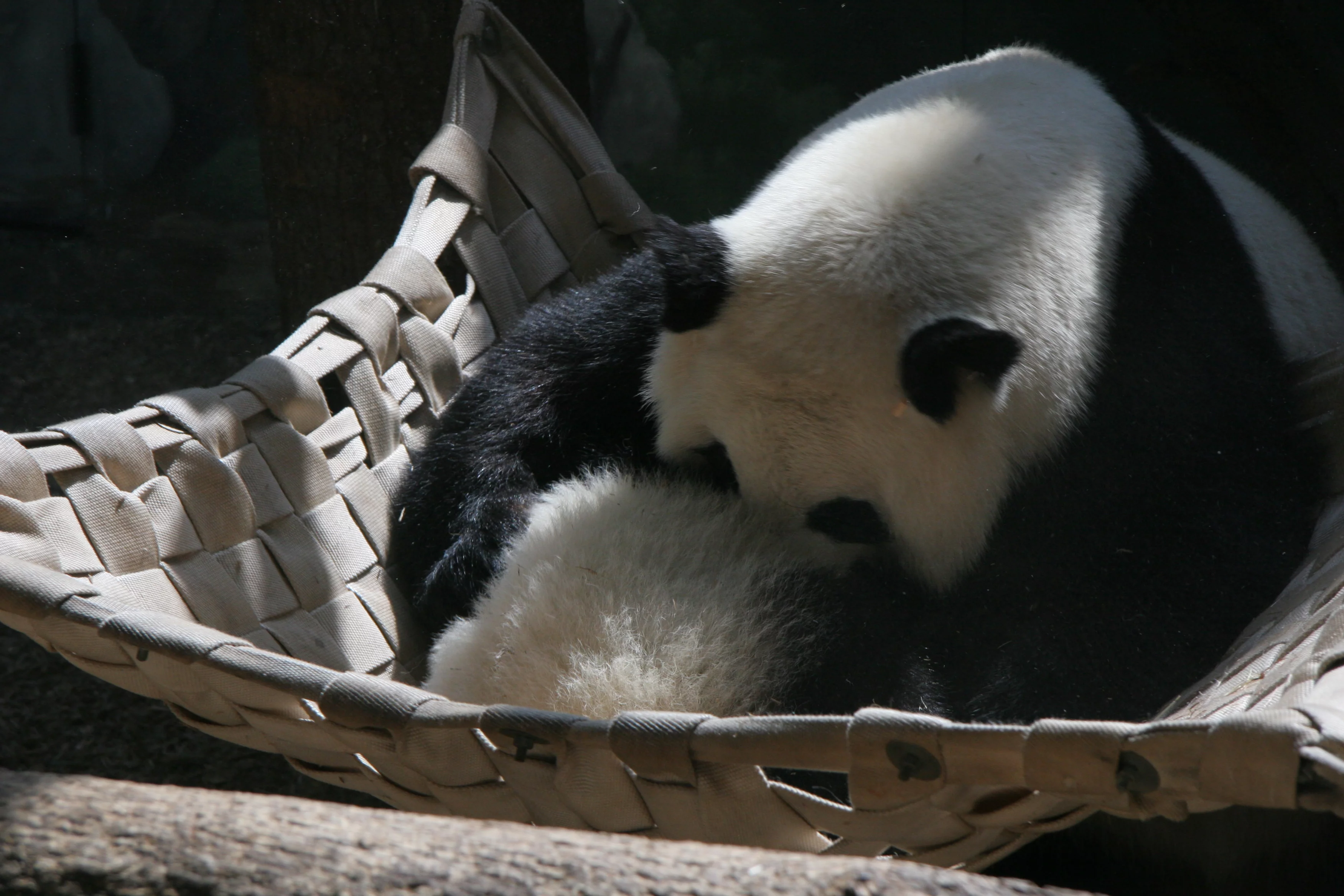 Zoo Atlanta