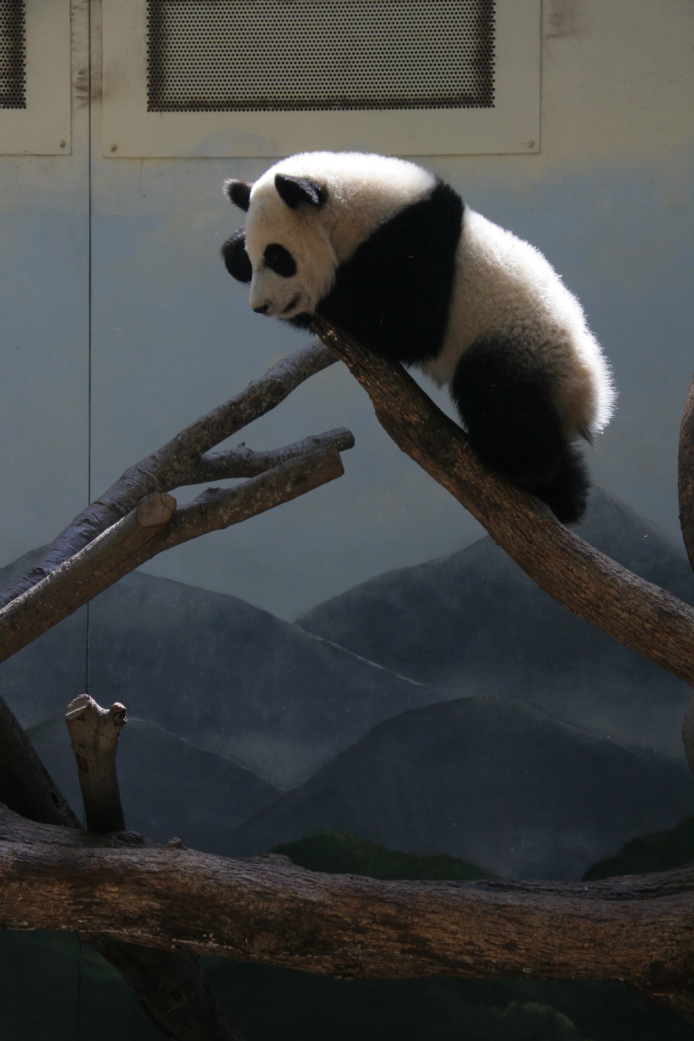 Zoo Atlanta