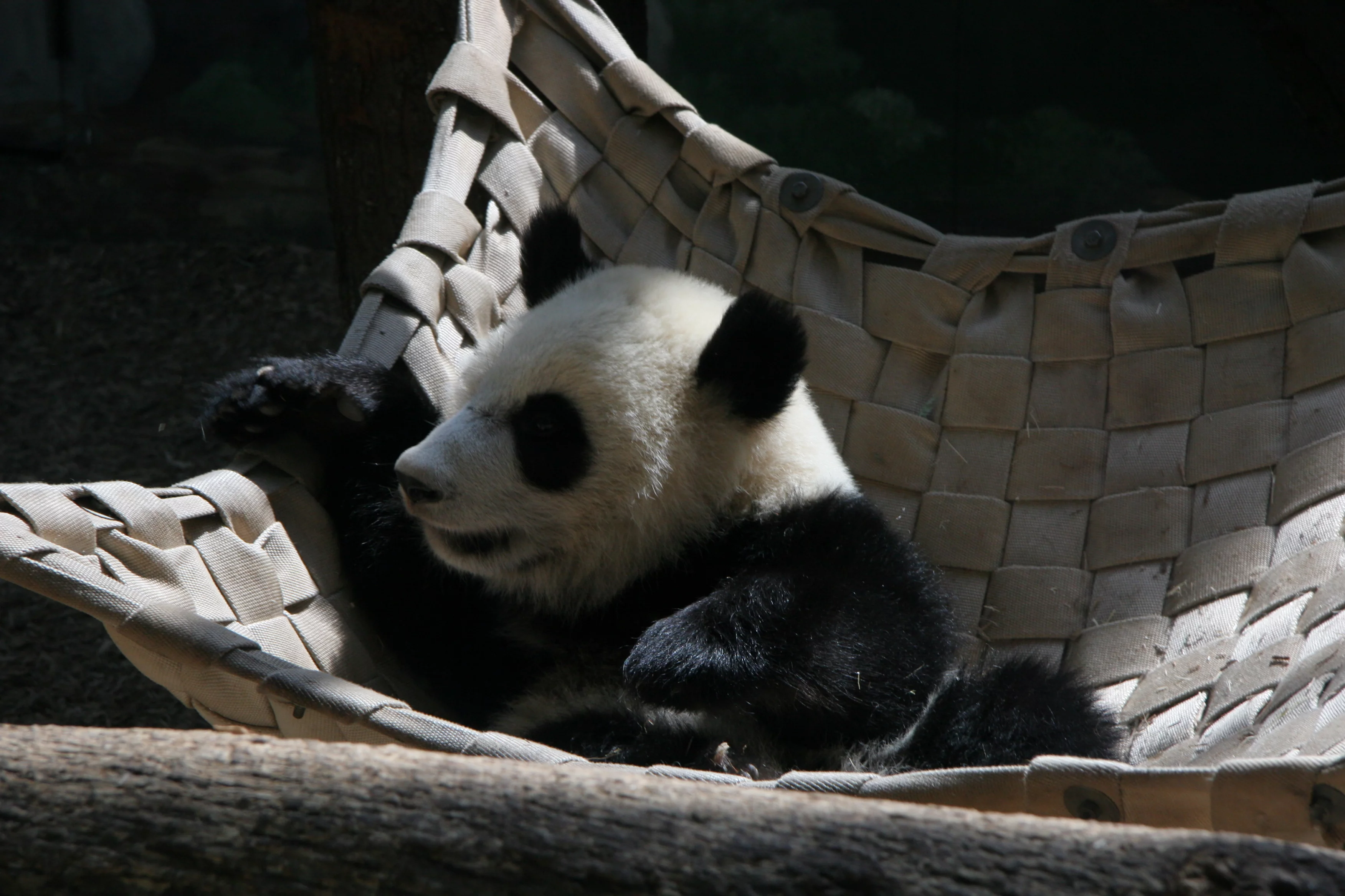 Zoo Atlanta